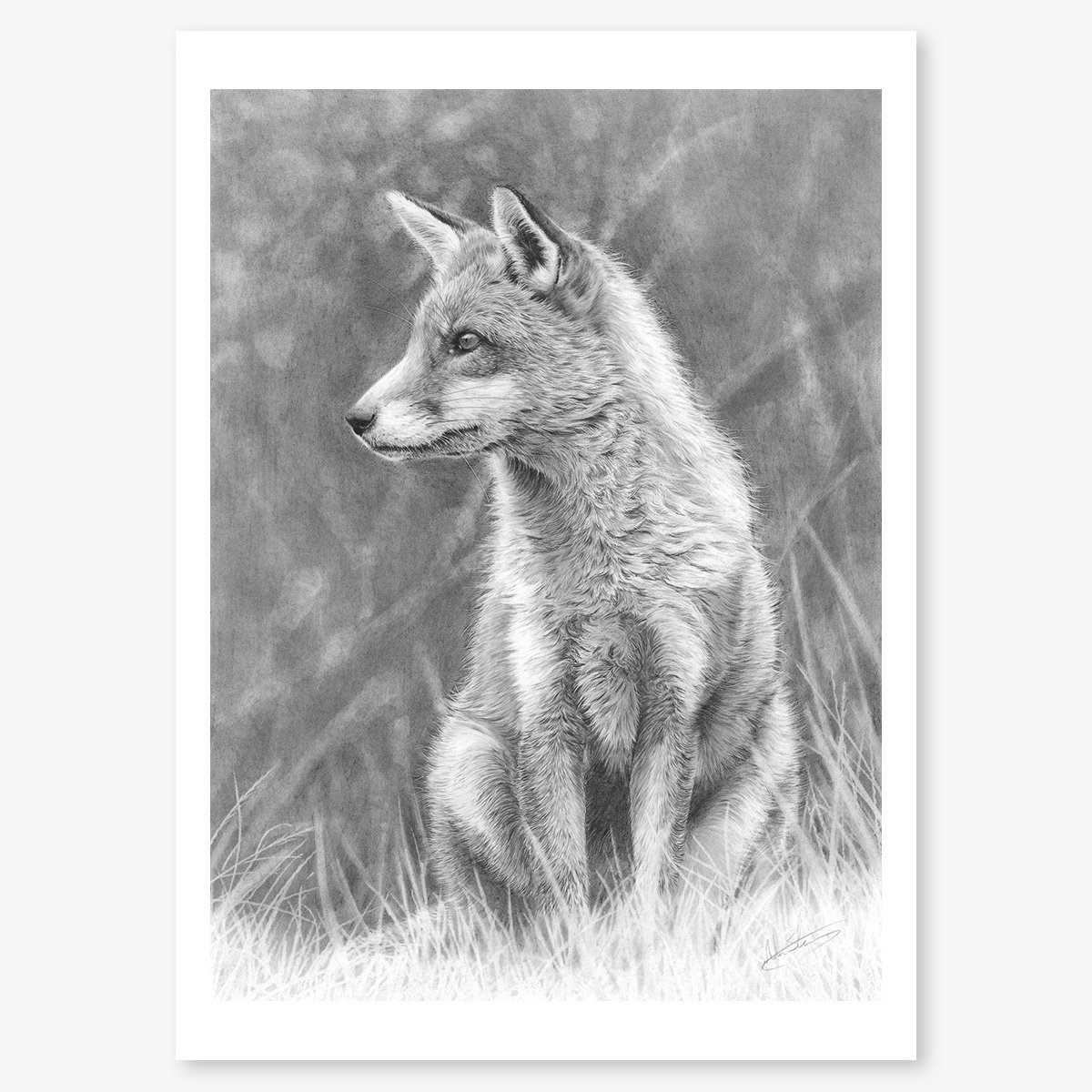 fox_study_floating.jpg