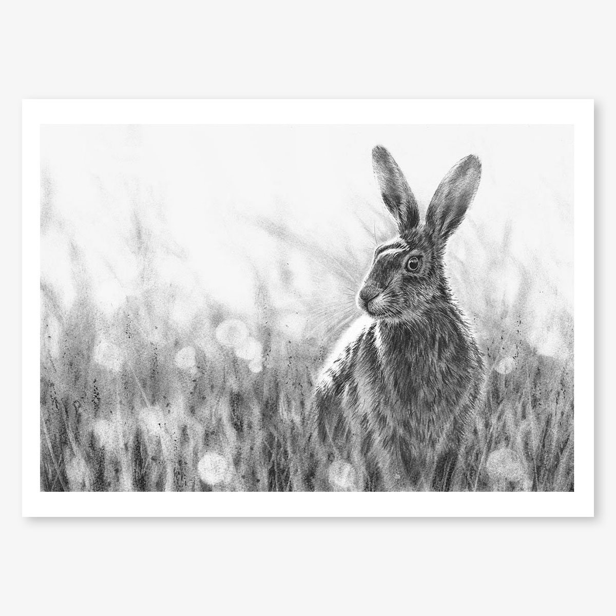 Hare_Autumn_floating.jpg