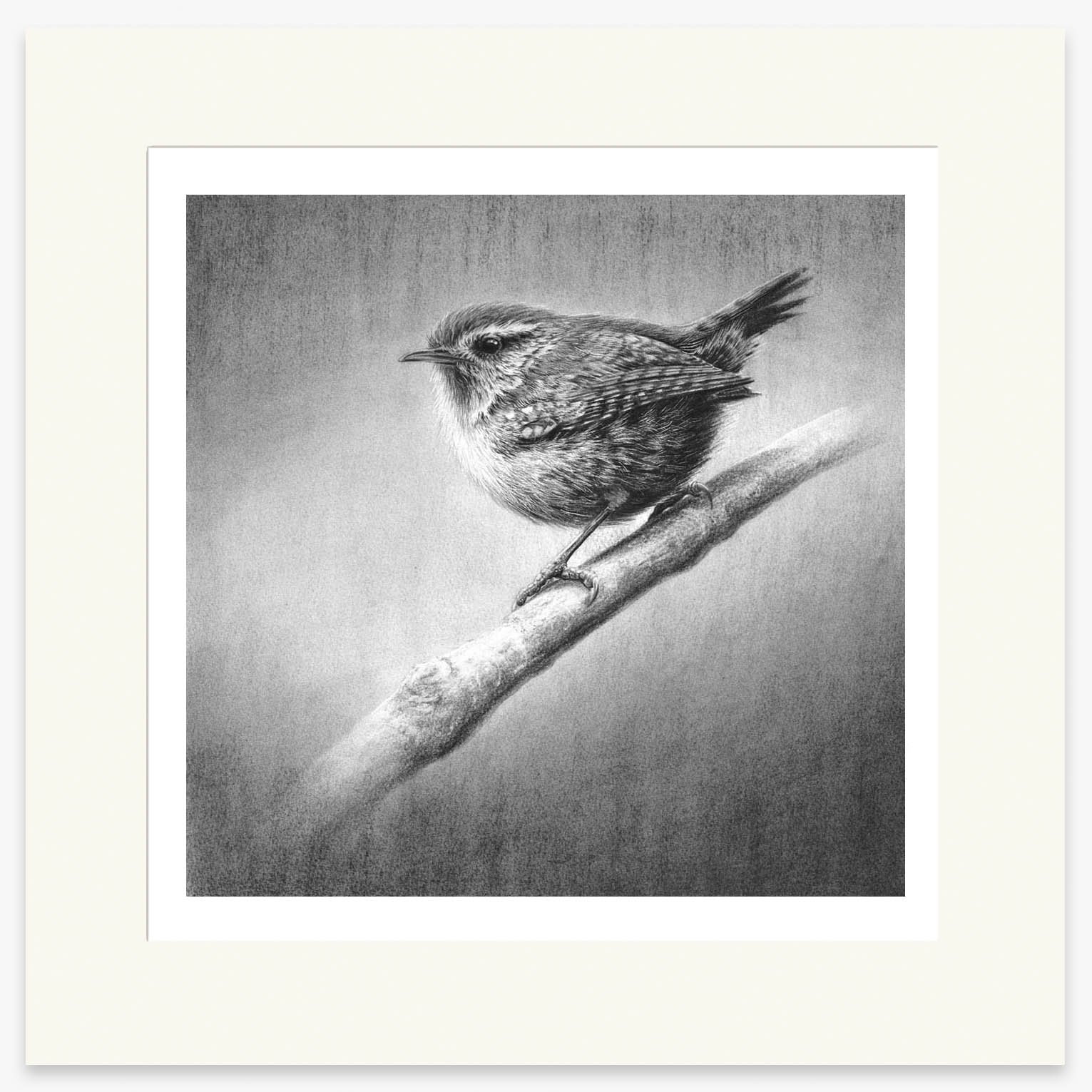 wren_II_mounted.jpg