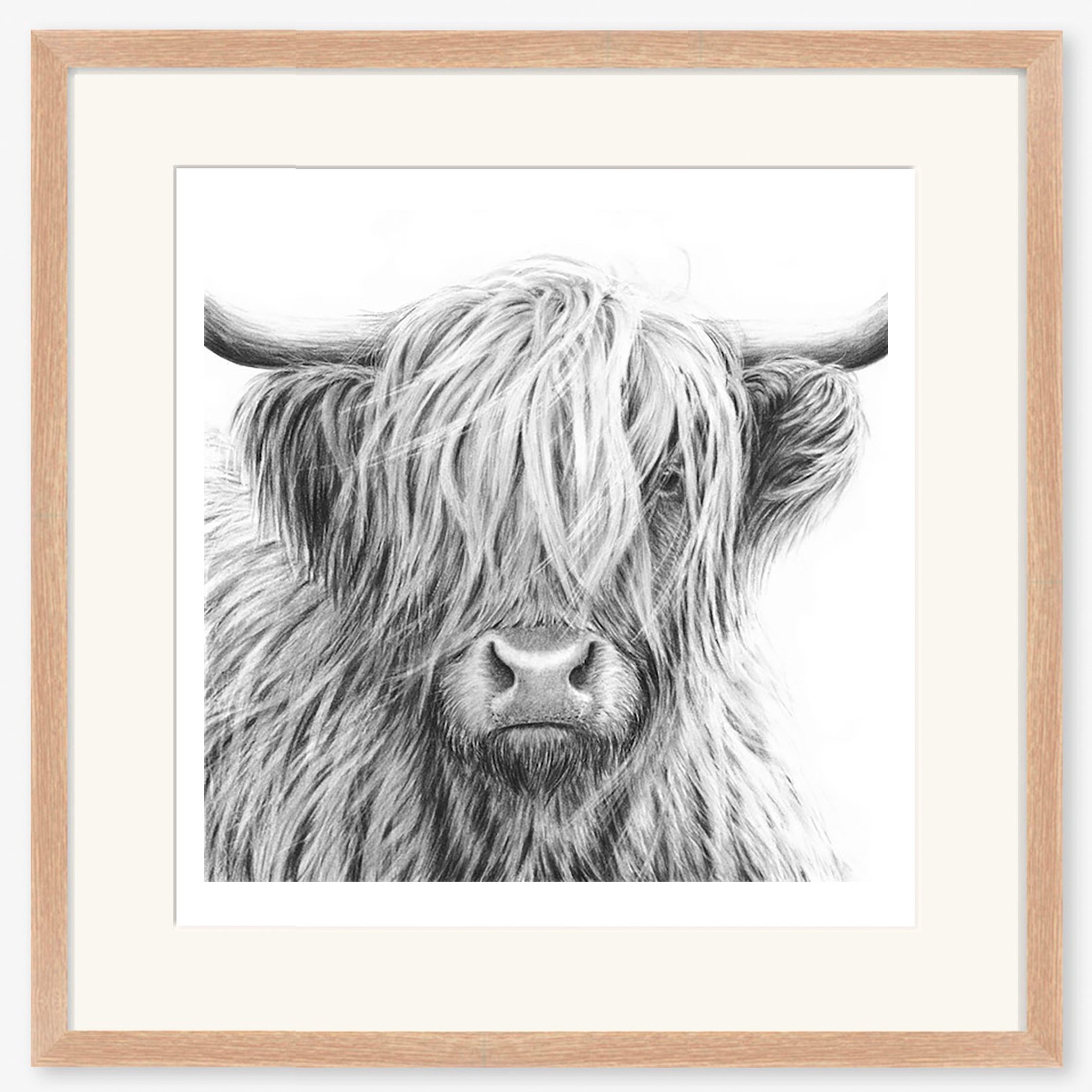 highland_cow_V copy_oak.jpg