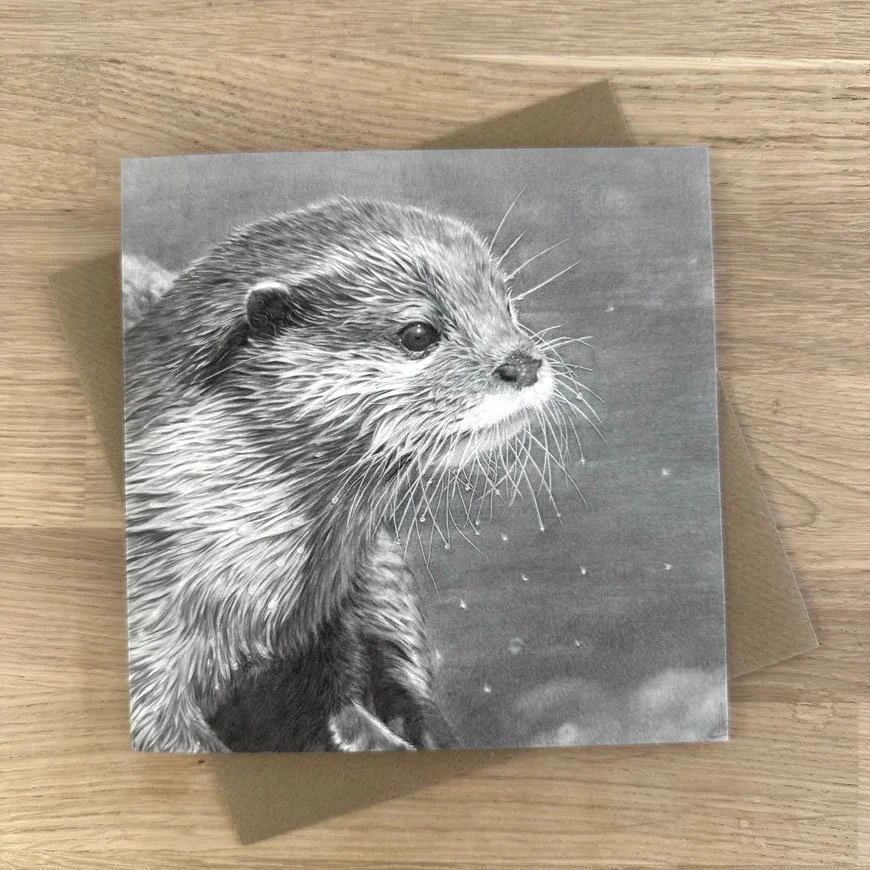 otter.jpg