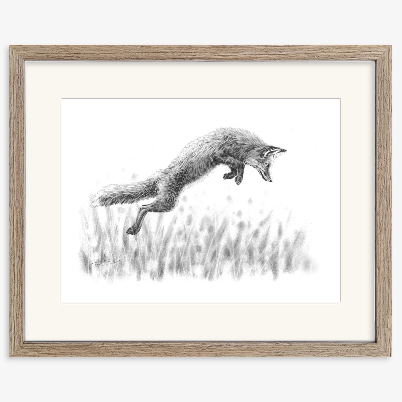 fox_leaping_walnut.jpg