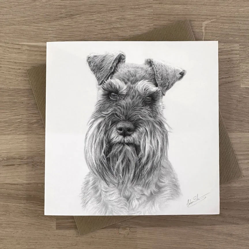 miniature_schnauzer_2.jpeg