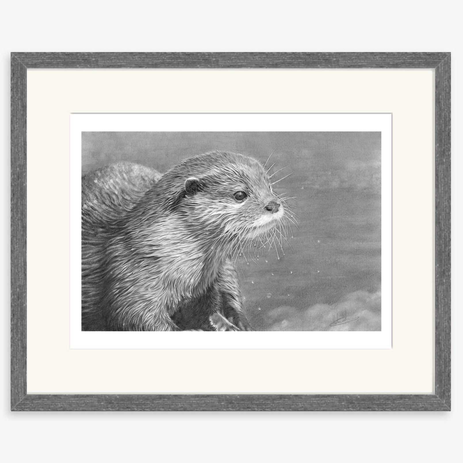 otter_study_charcoal.jpg