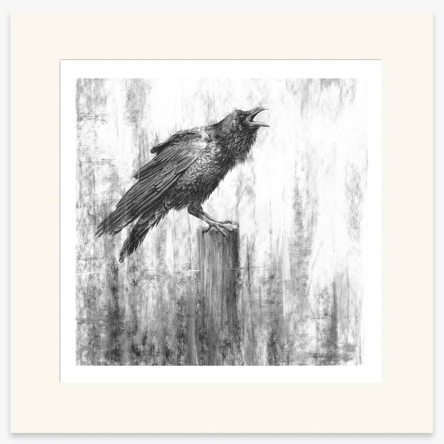 Raven_III_mounted.jpg