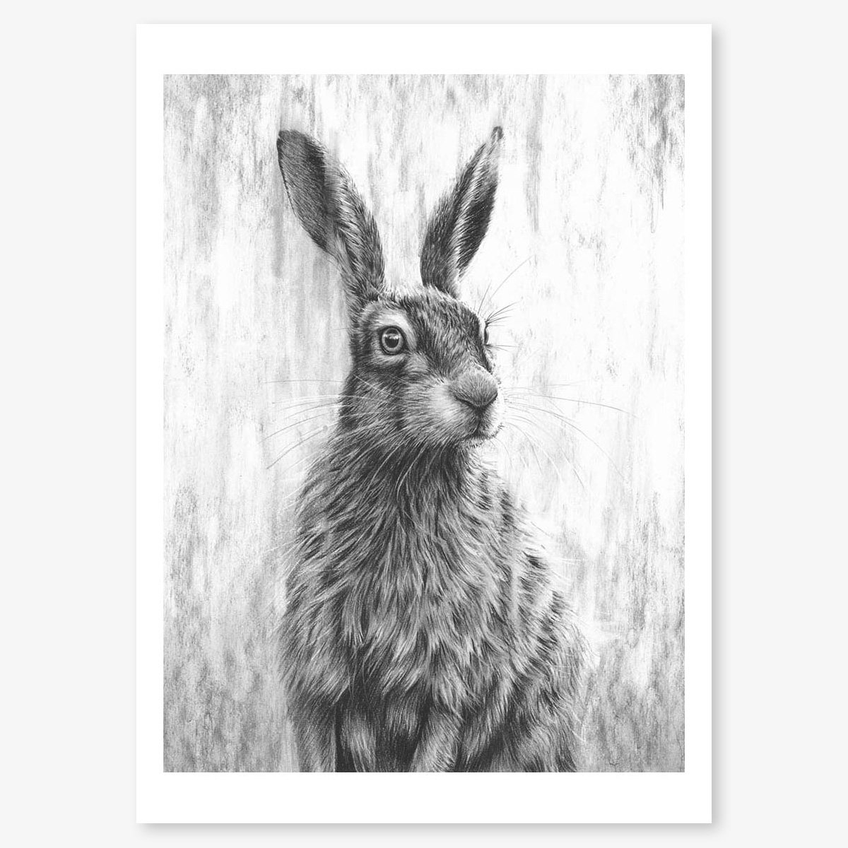 Brown_Hare_iii_floating.jpg