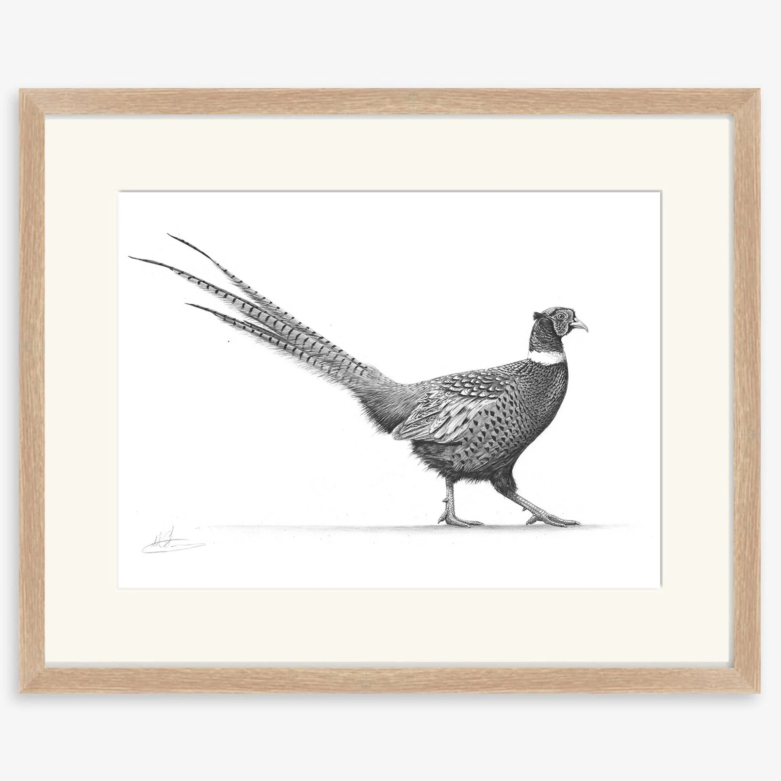 strutting pheasant_IV_oak.jpg