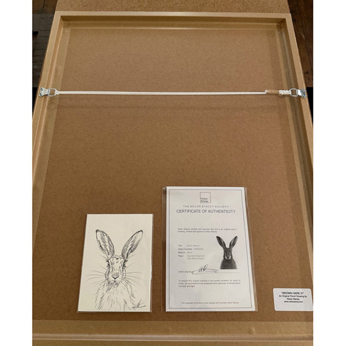 Brown_hare_IV_Back_sq.jpg