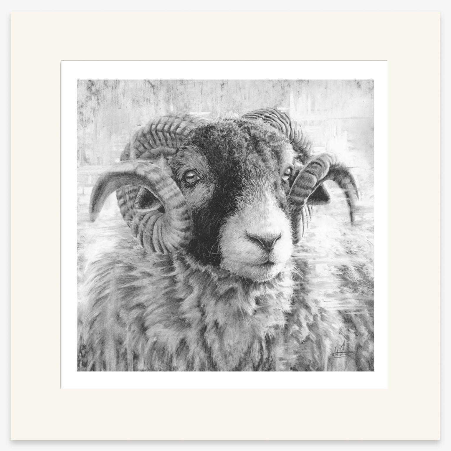 swaledale-tup-iii_mounted.jpg