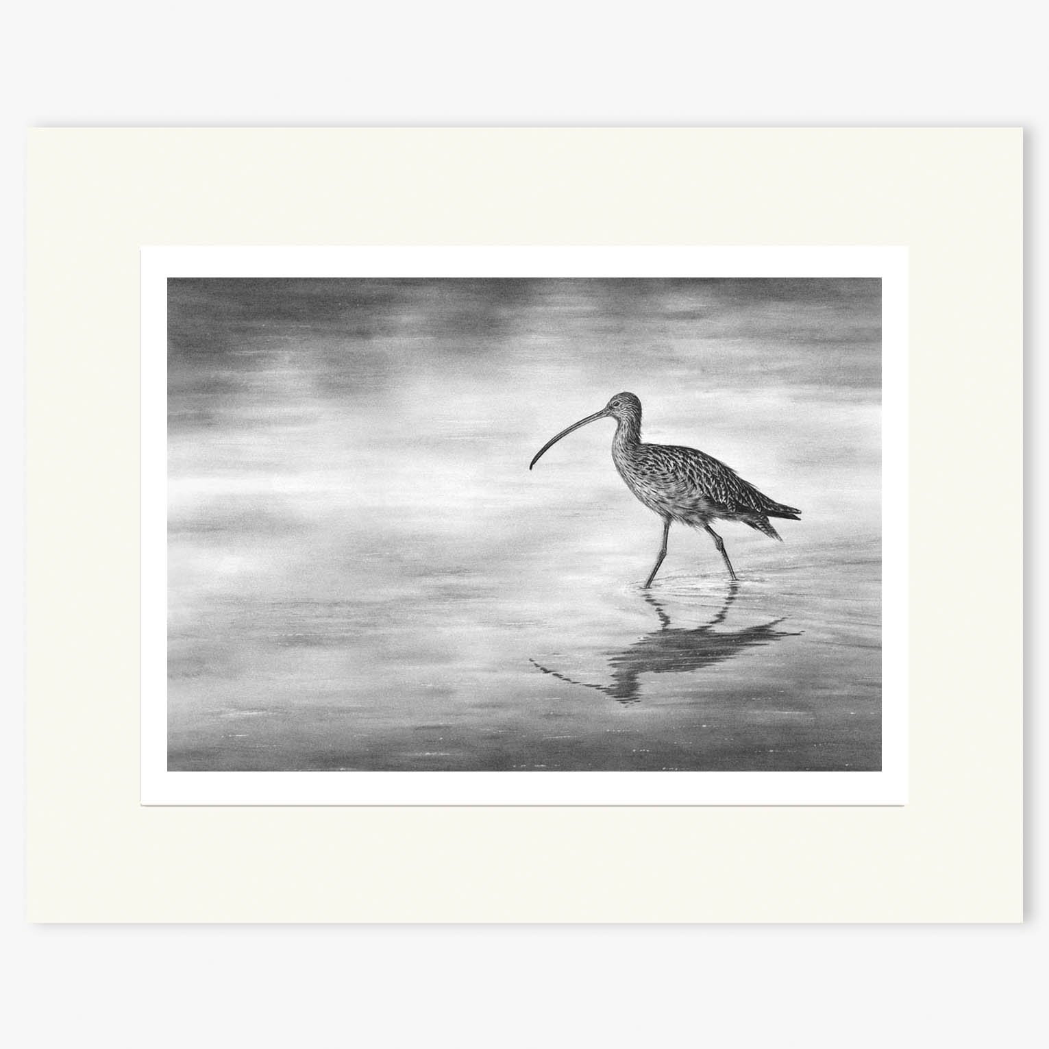 curlew-wading-II_mounted.jpg