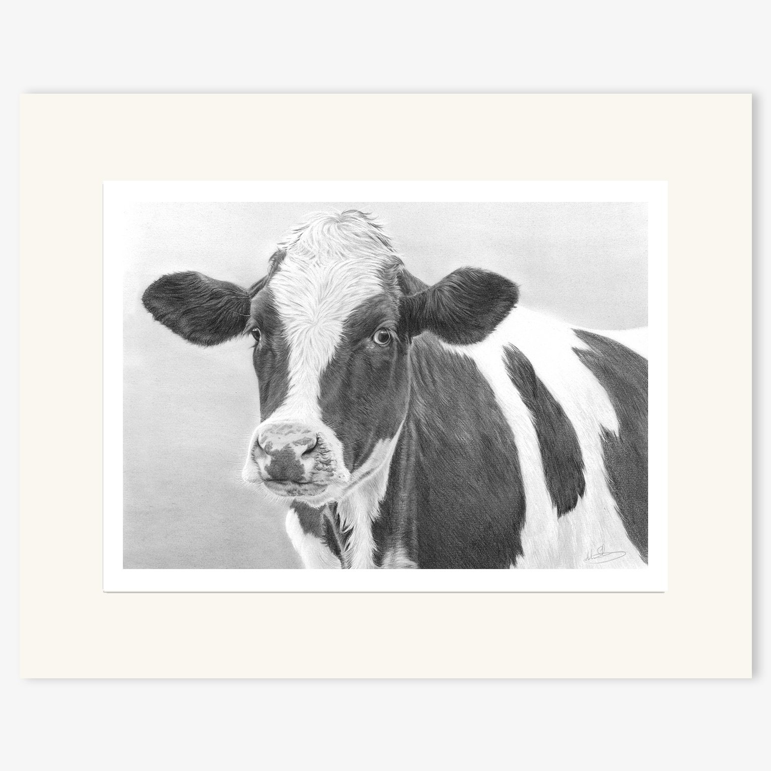 friesian_heifer_mounted.jpg