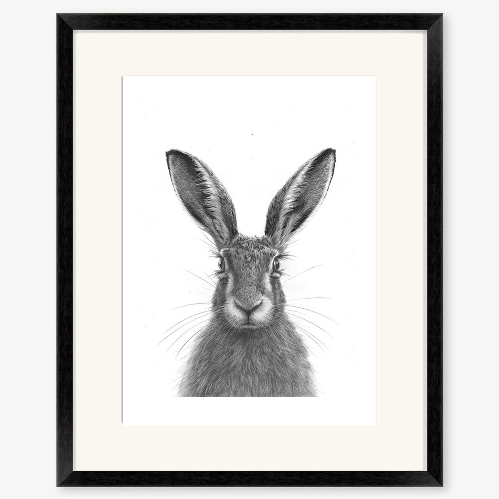 brown_hare_IV_black.jpg