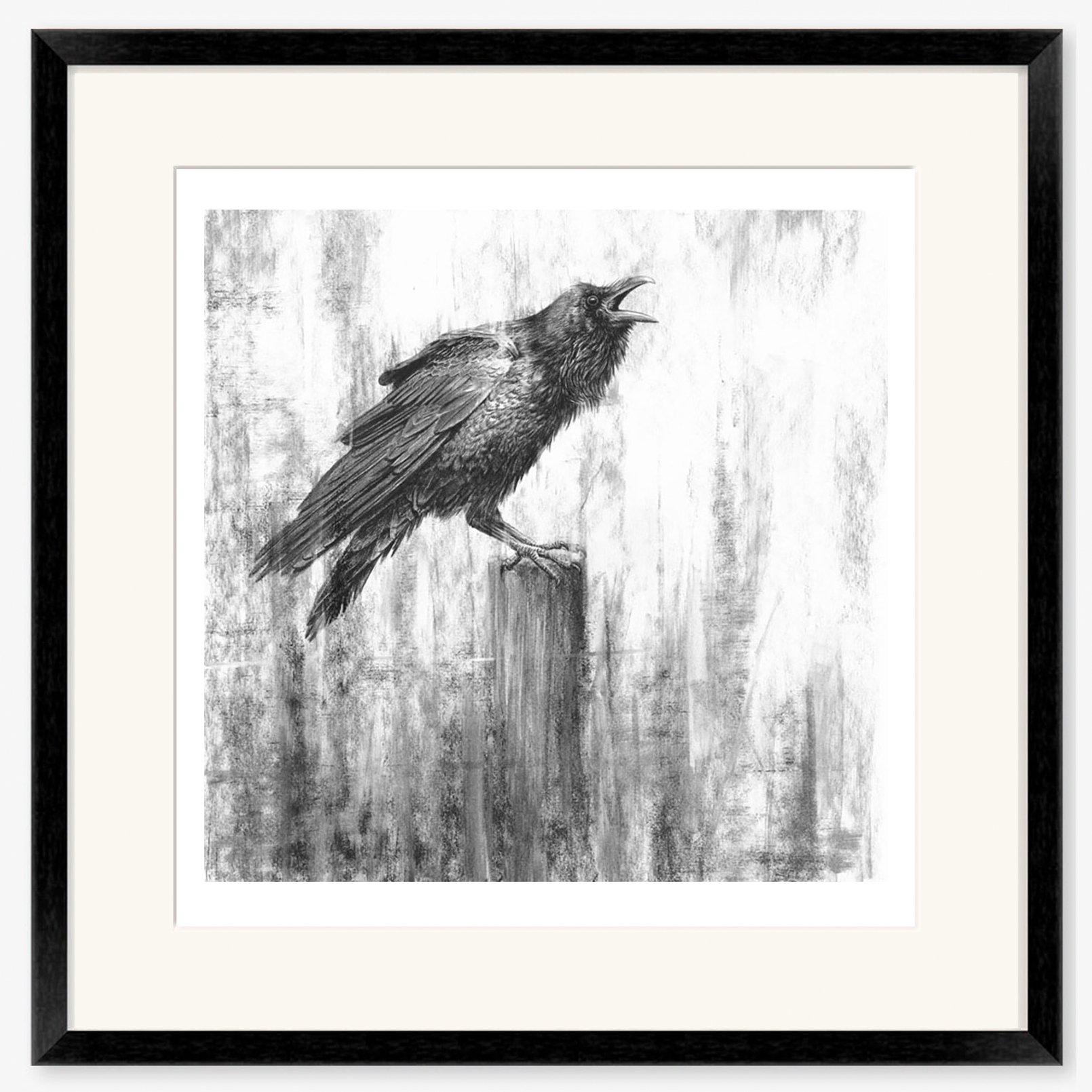 Raven_III_black.jpg