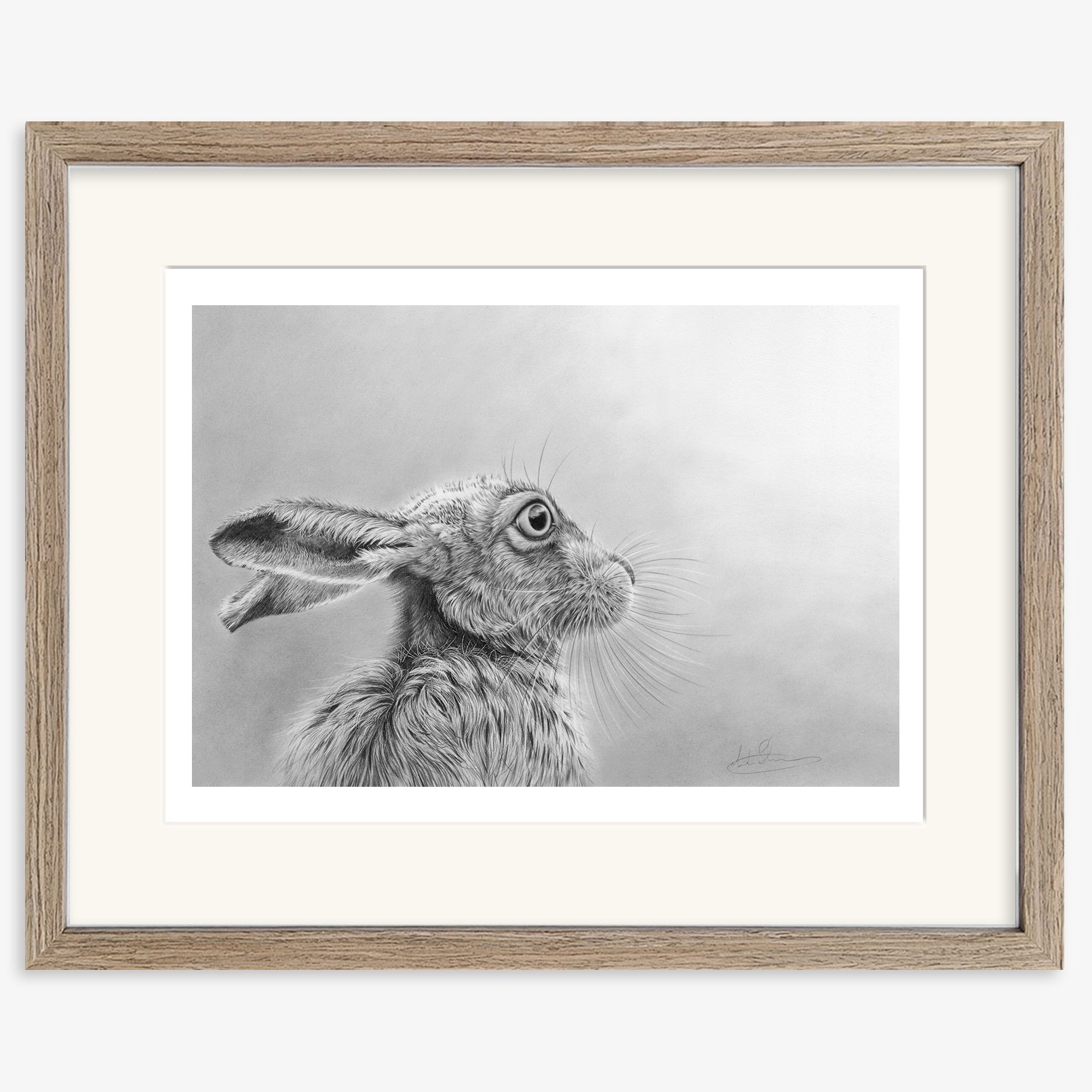 Hare_Gazing_walnut.jpg