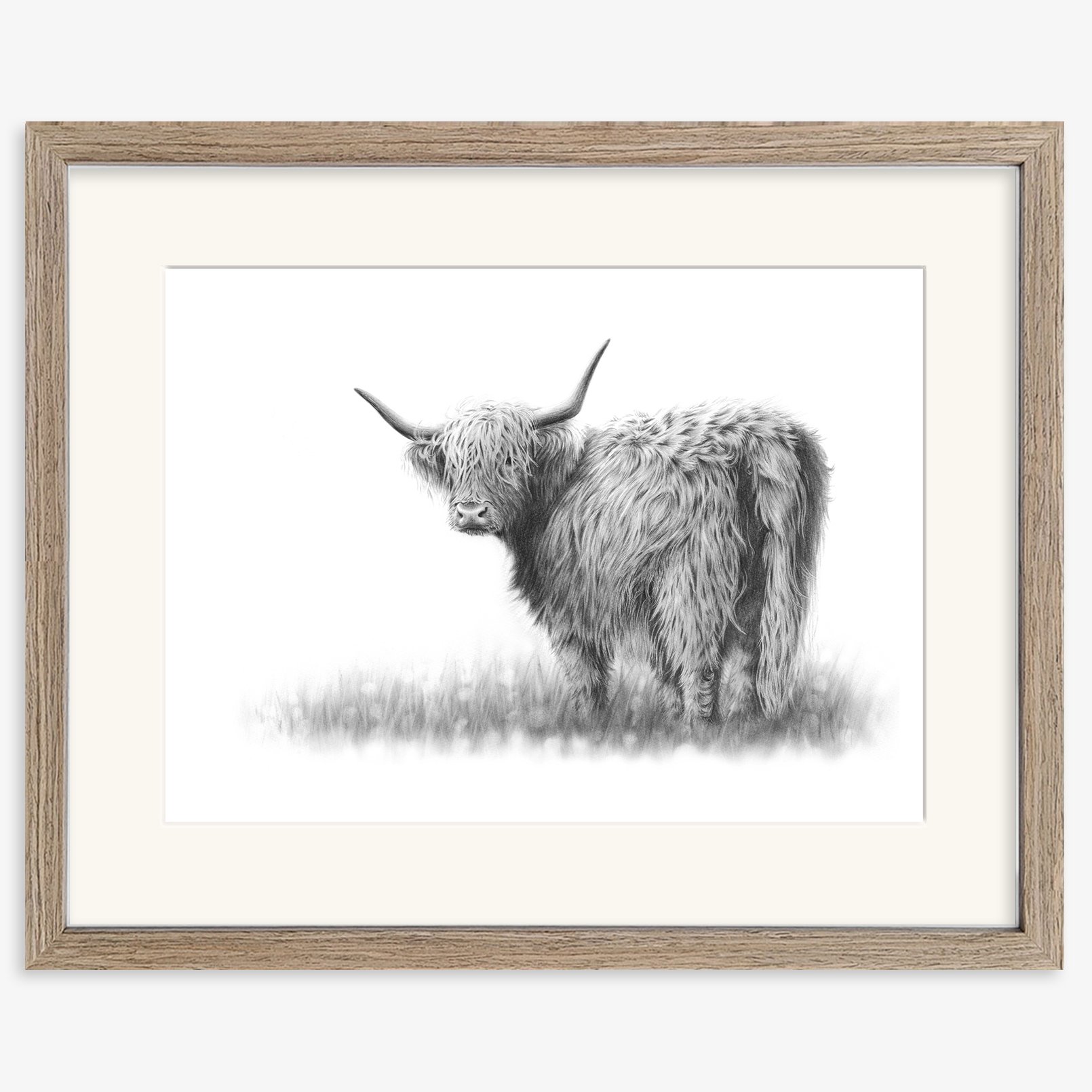 Highland_cow_III_walnut.jpg