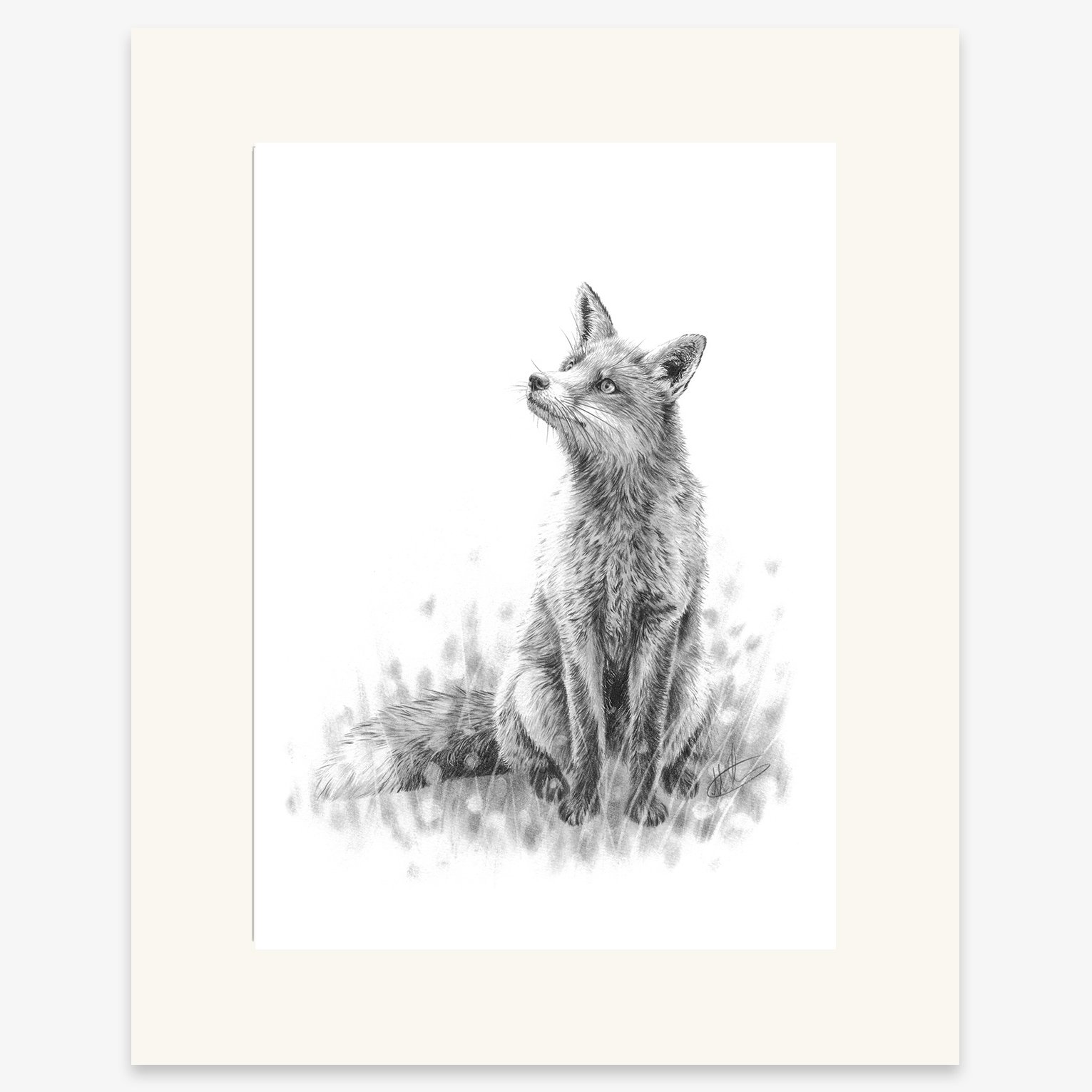 fox_sitting_mounted.jpg