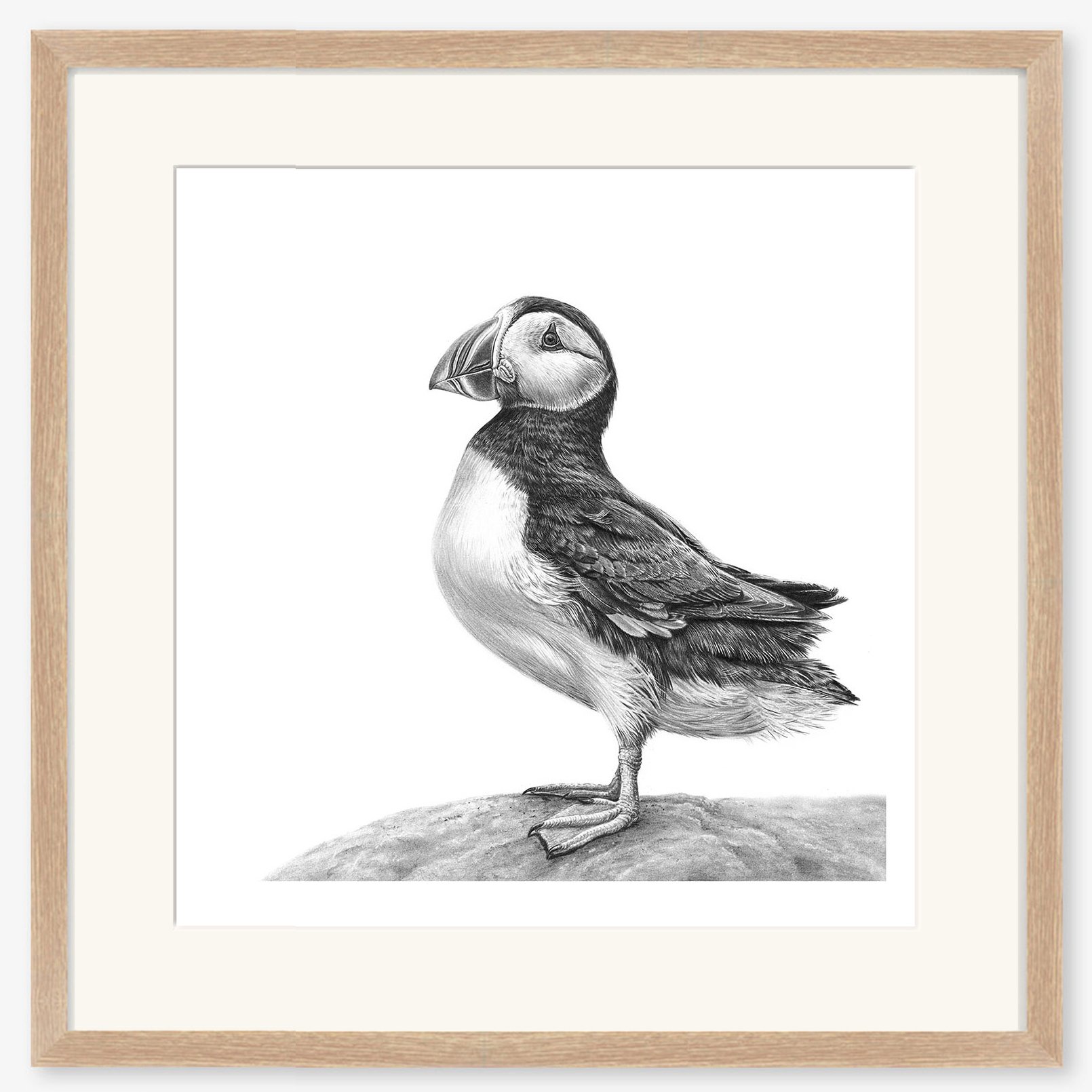 Puffin_oak.jpg
