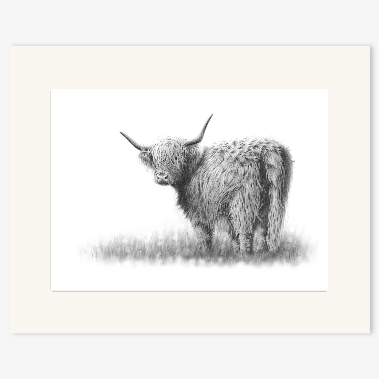 Highland_cow_III_mounted.jpg