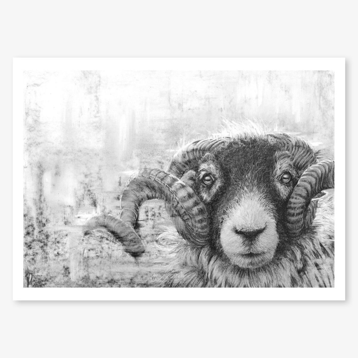 swaledale_tup_II_floating.jpg