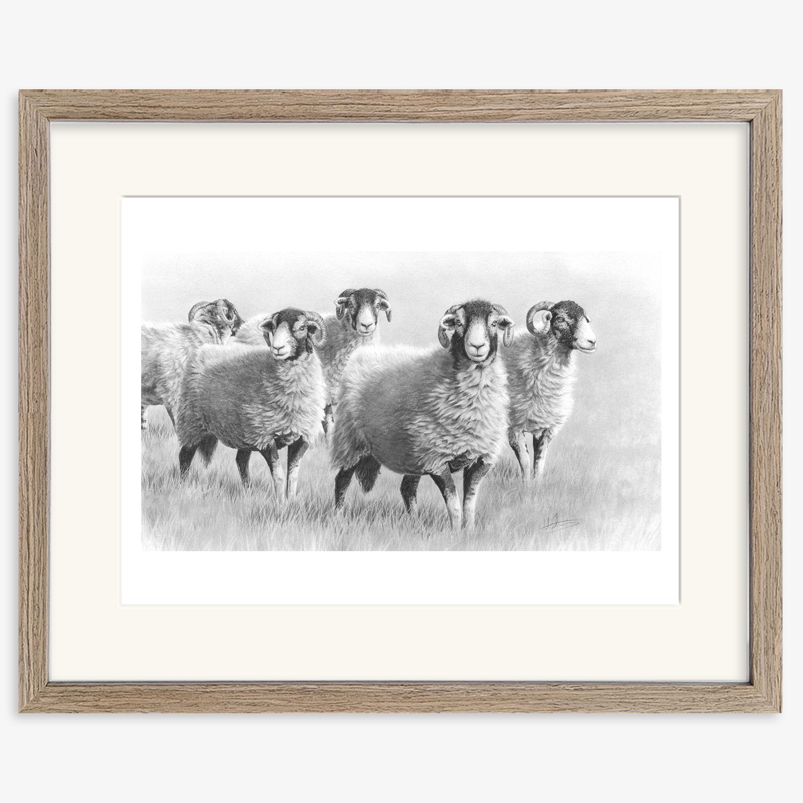 Summer_swaledales_walnut.jpg