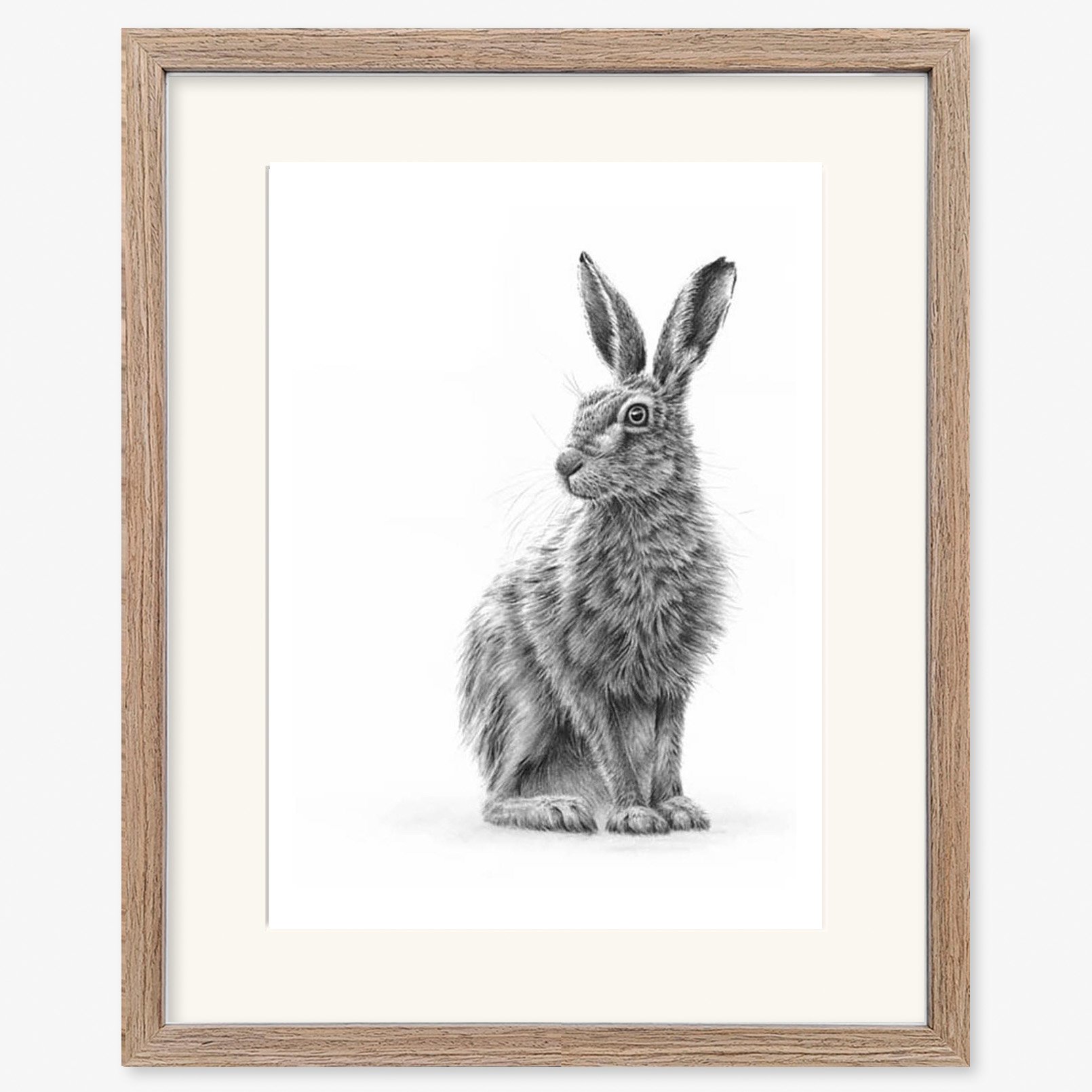 sitting_hare_1_walnut.jpg