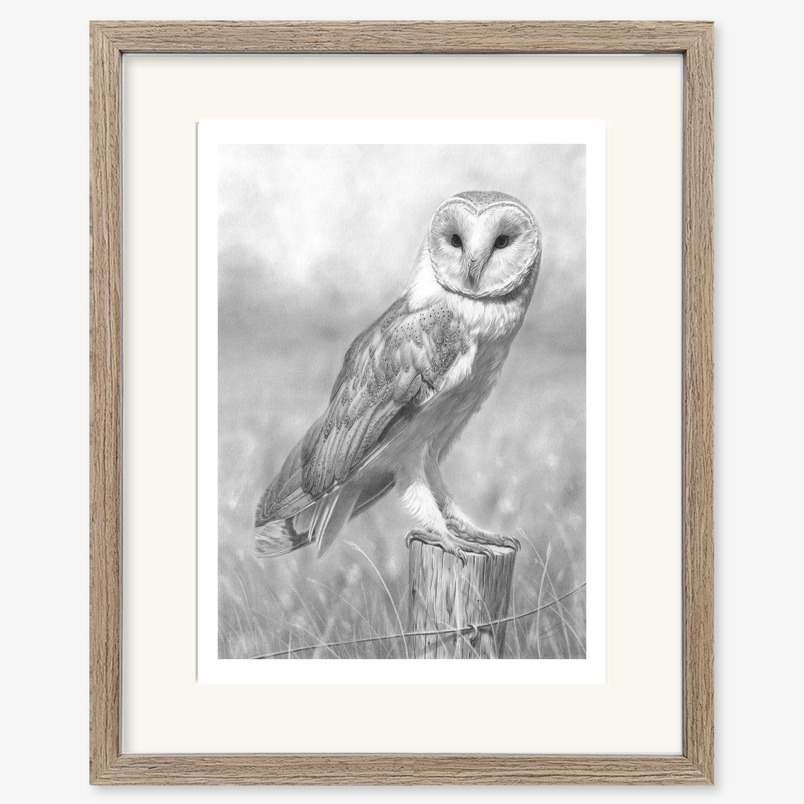 Barn Owl_walnut.jpg