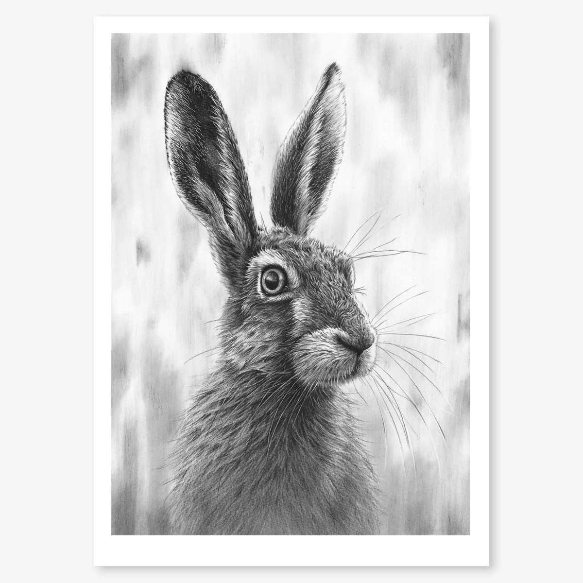 brown_hare_V_floating.jpg