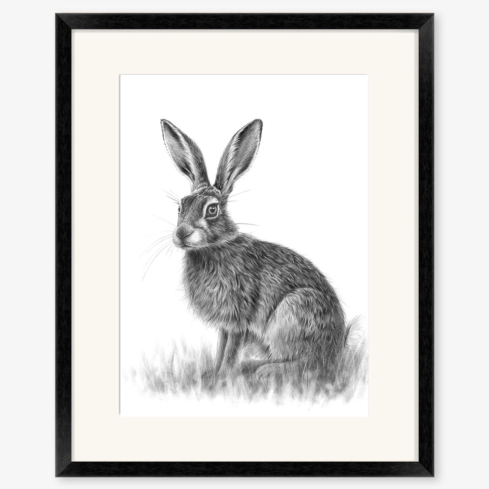 sitting_hare_IV_black.jpg