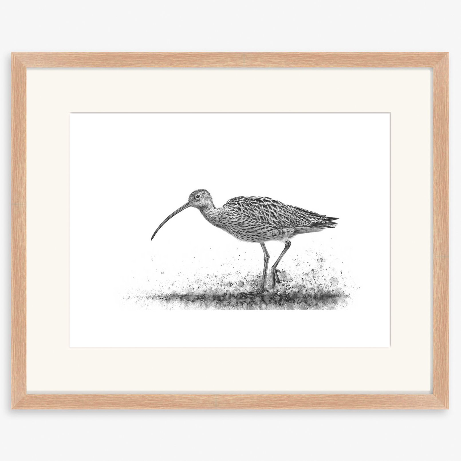 curlew-wading-I_oak.jpg