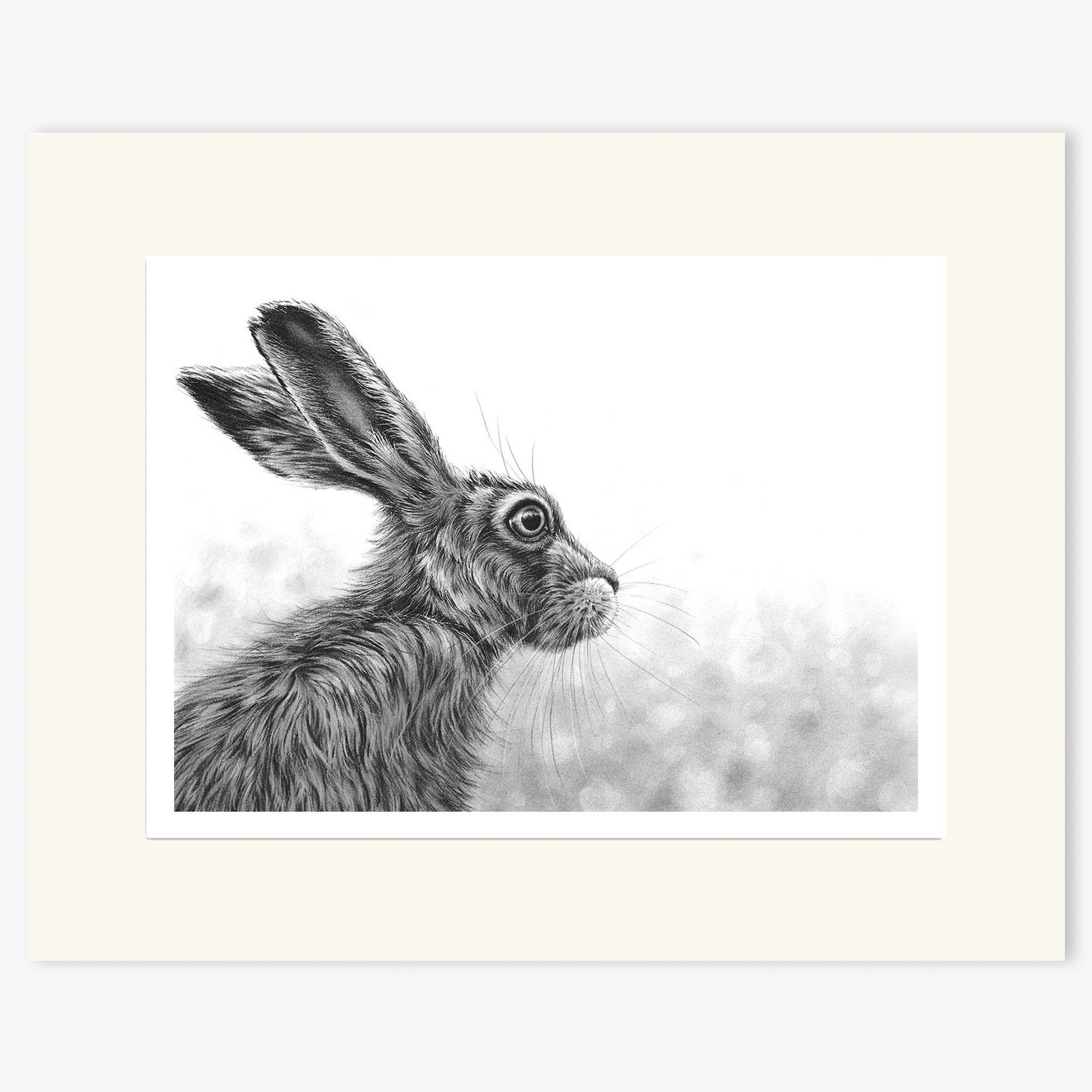 Hare_Listening_II_mounted.jpg