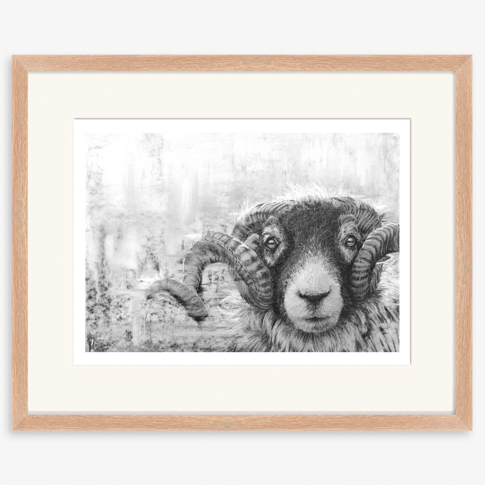 swaledale_tup_II_oak.jpg