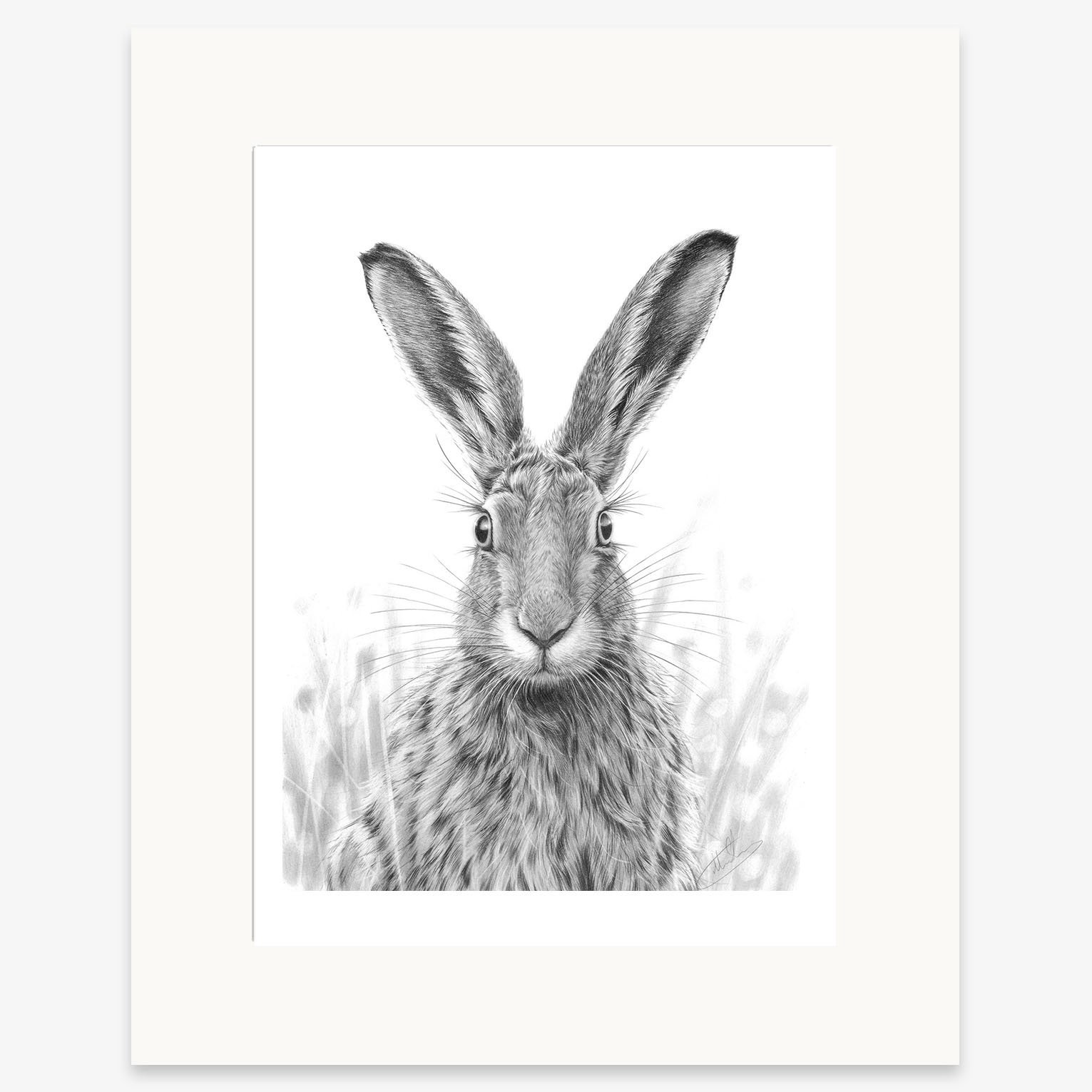 Alert_Hare_II_mounted.jpg