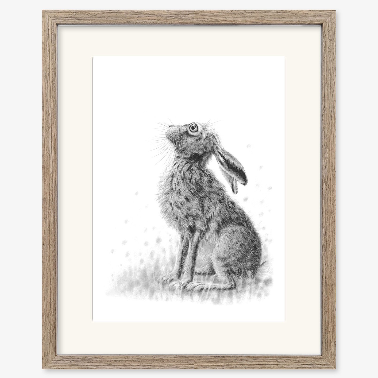 Hare Gazing II_walnut.jpg