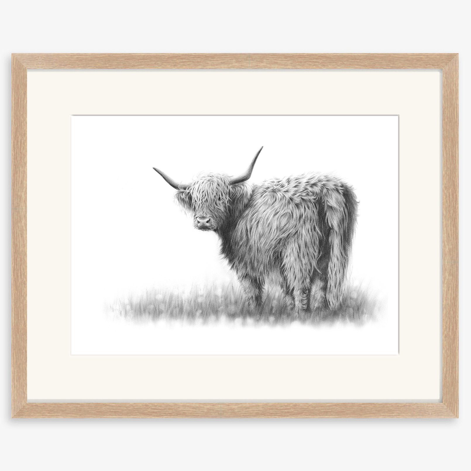 Highland_cow_III_oak.jpg