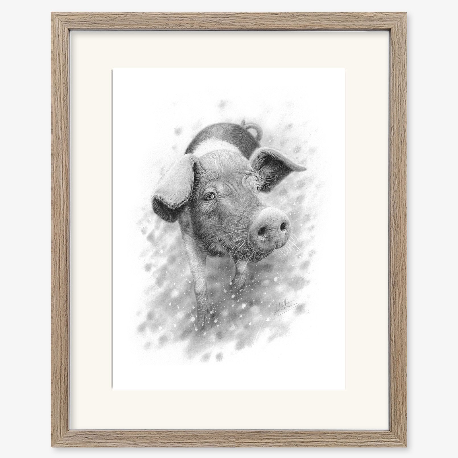 saddleback_pig_walnut.jpg