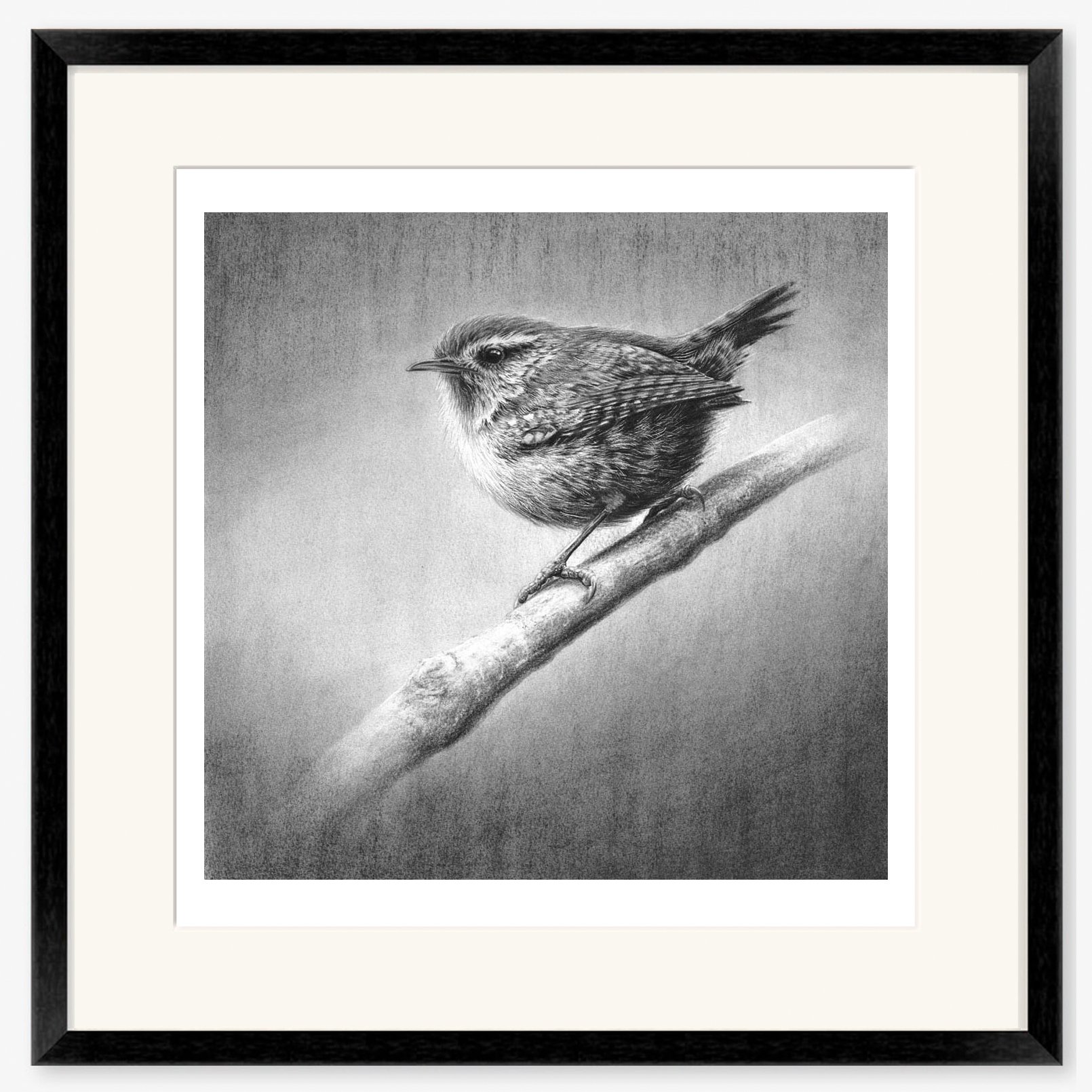 wren_II_black.jpg