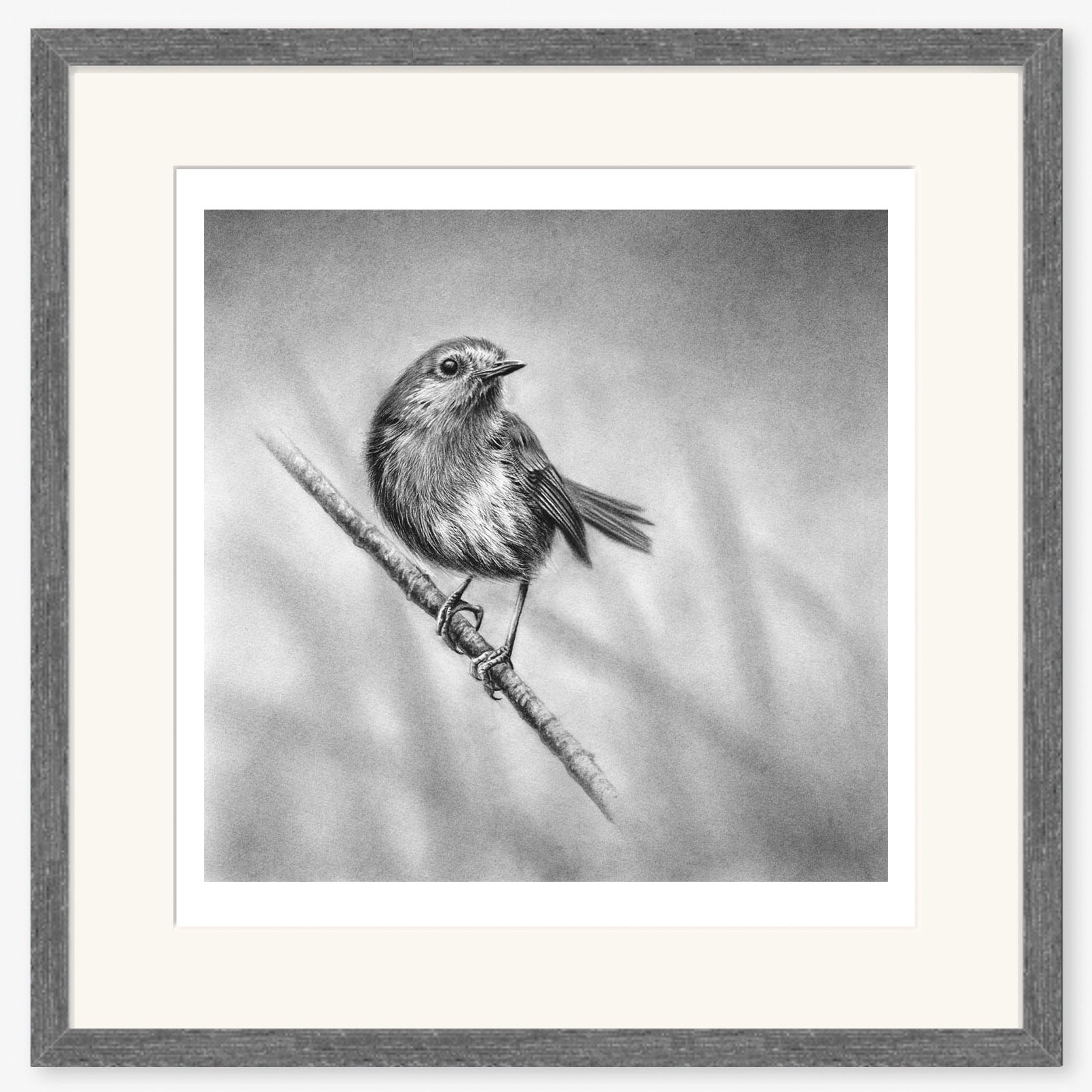 Robin_II_charcoal.jpg
