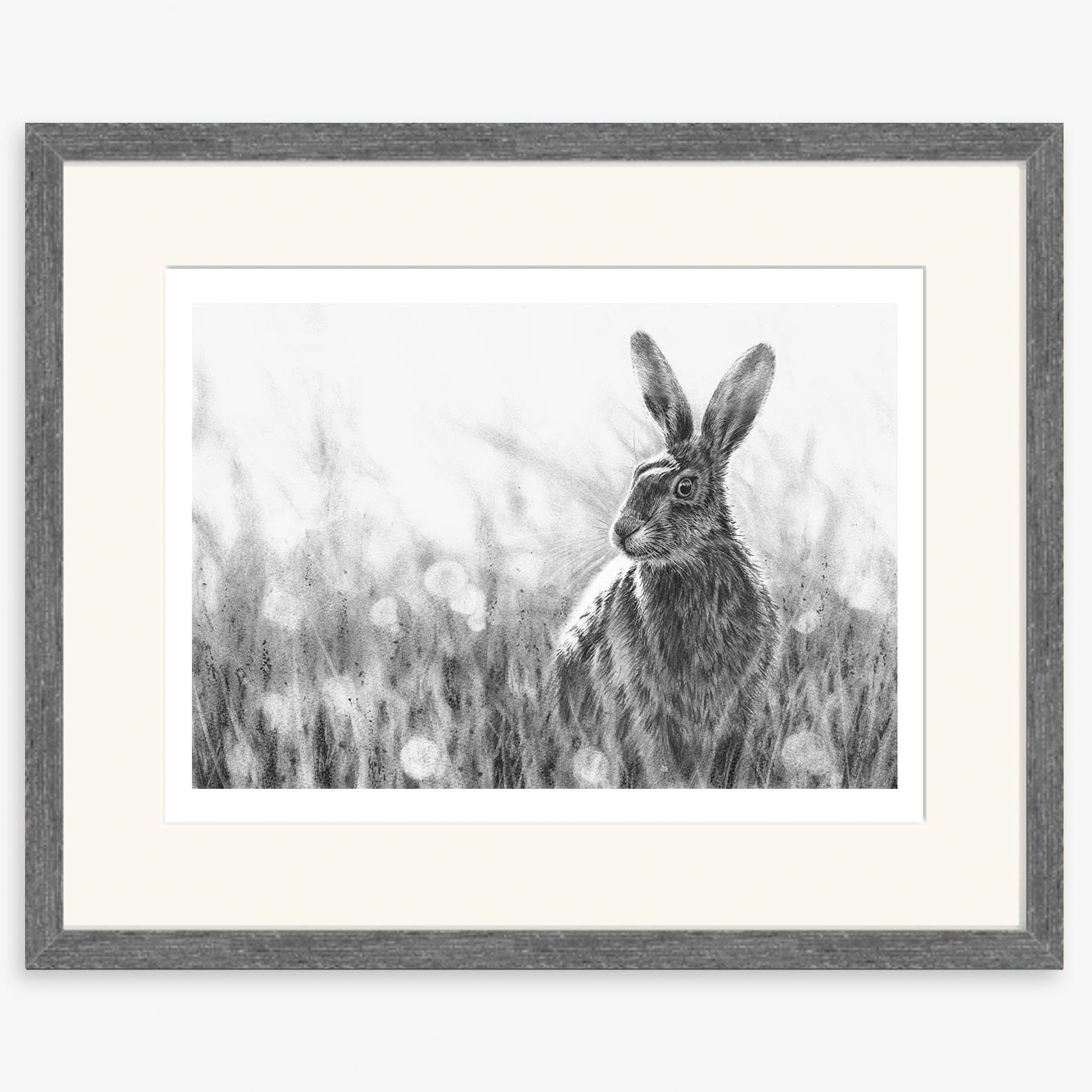 Hare_Autumn_charcoal.jpg