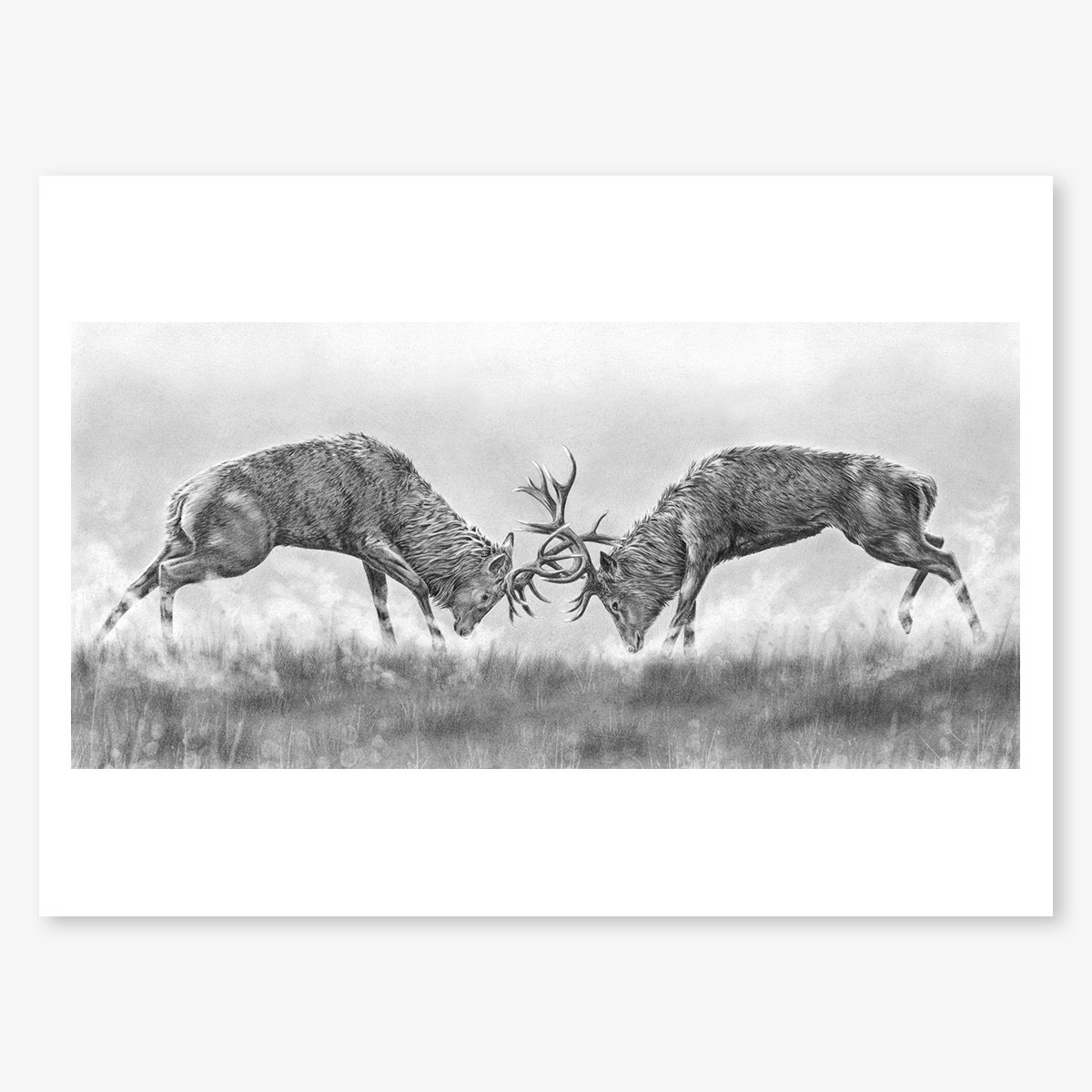 rutting stags_floating.jpg