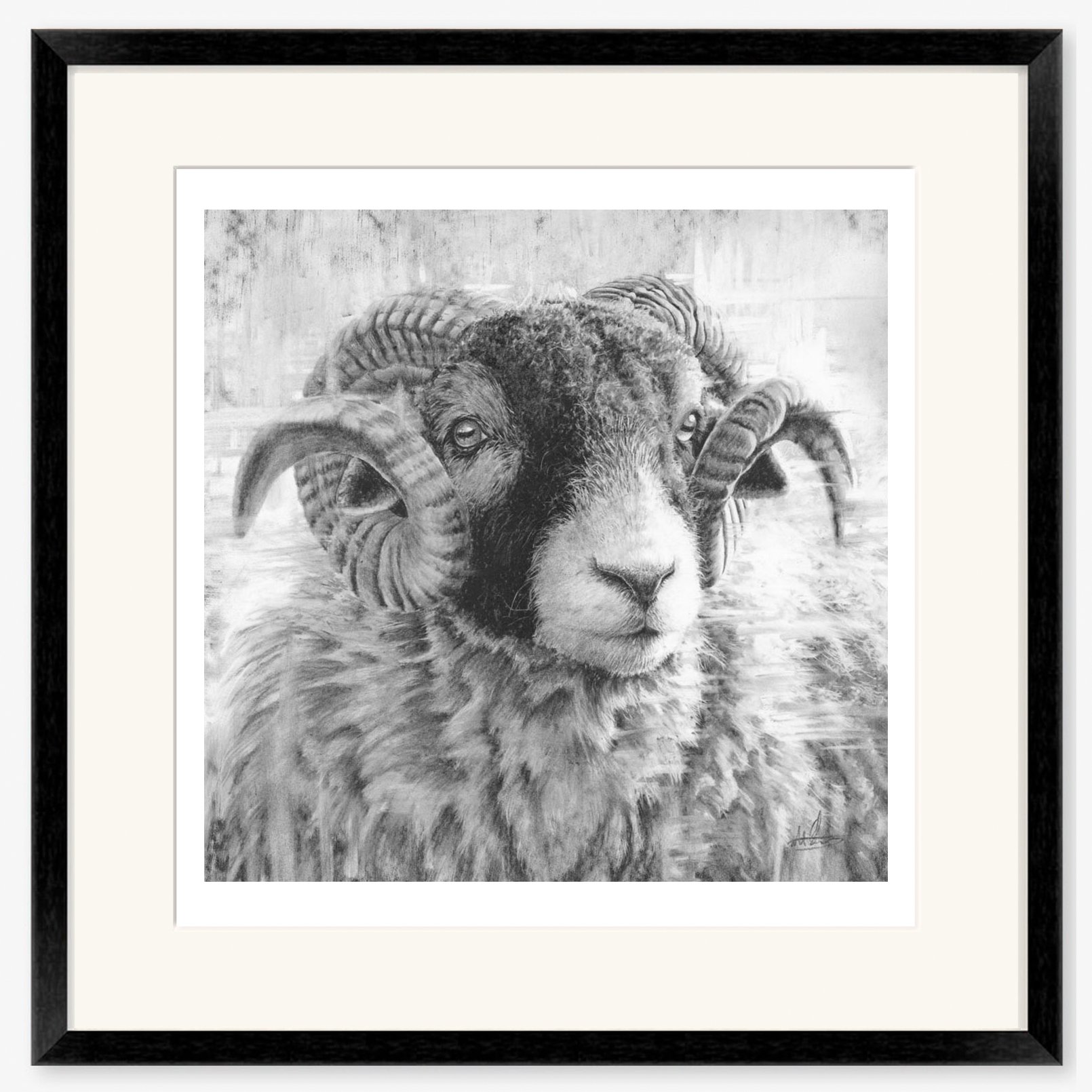 swaledale-tup-iii_black.jpg