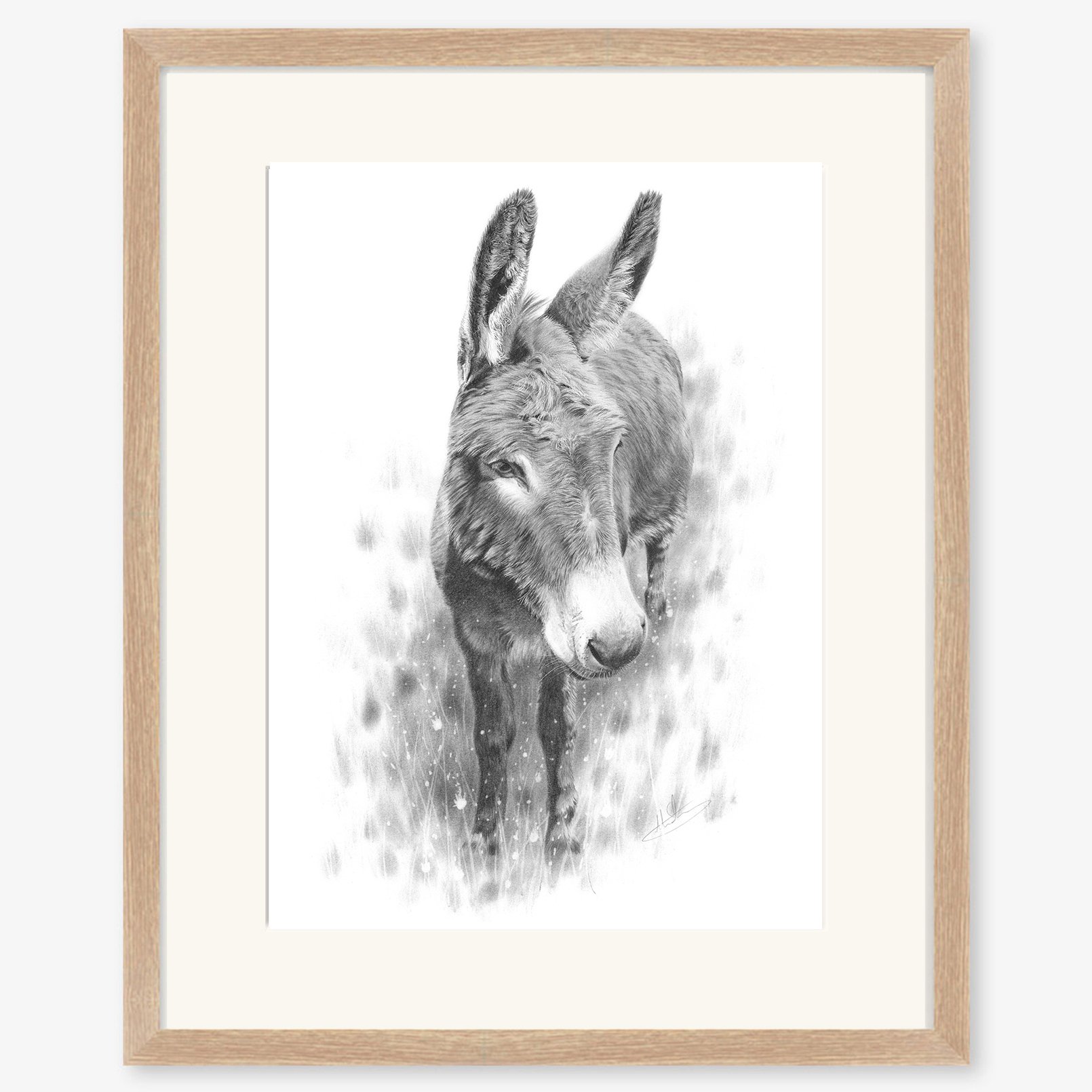 donkey_study_oak.jpg
