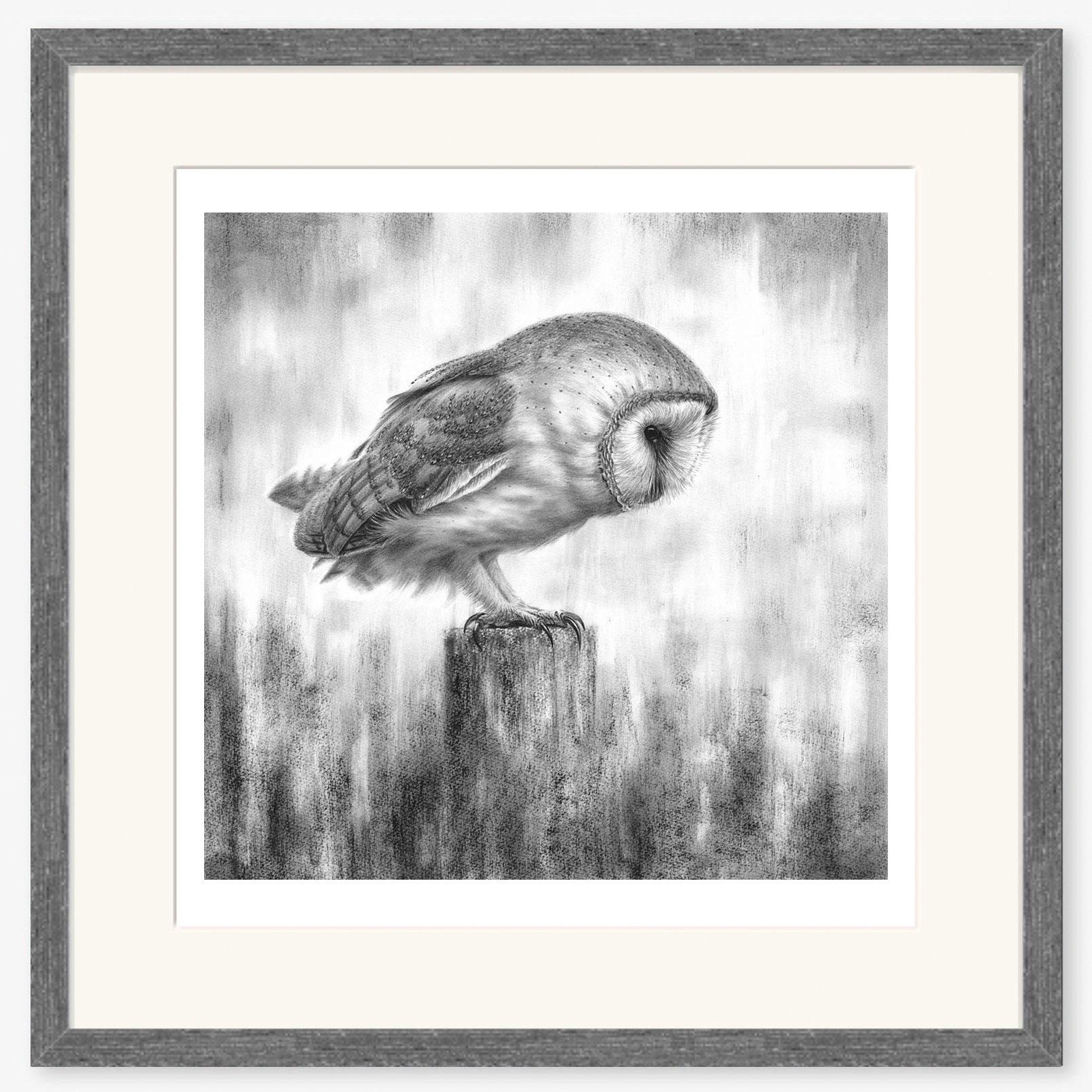 barn-owl-waiting_charcoal.jpg