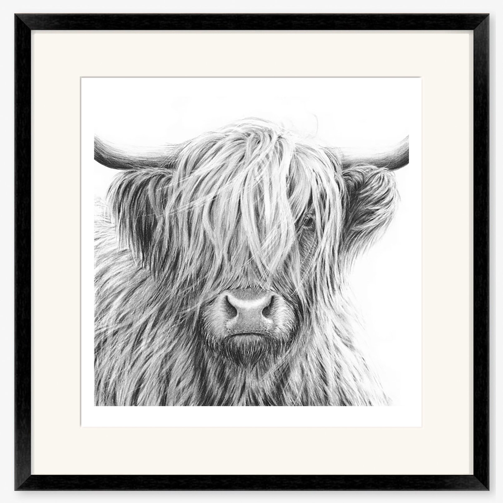 highland_cow_V copy_black.jpg