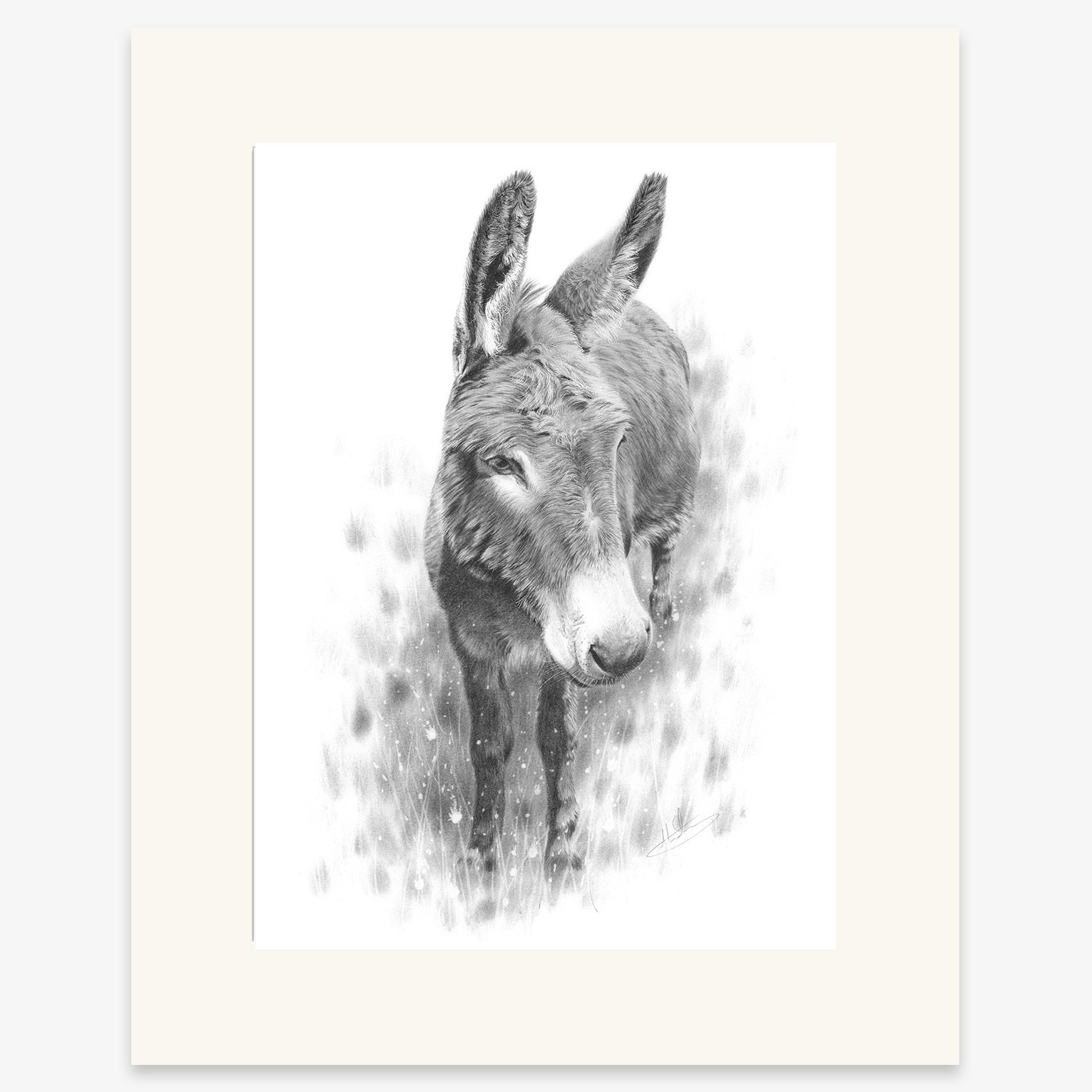 donkey_study_mounted.jpg