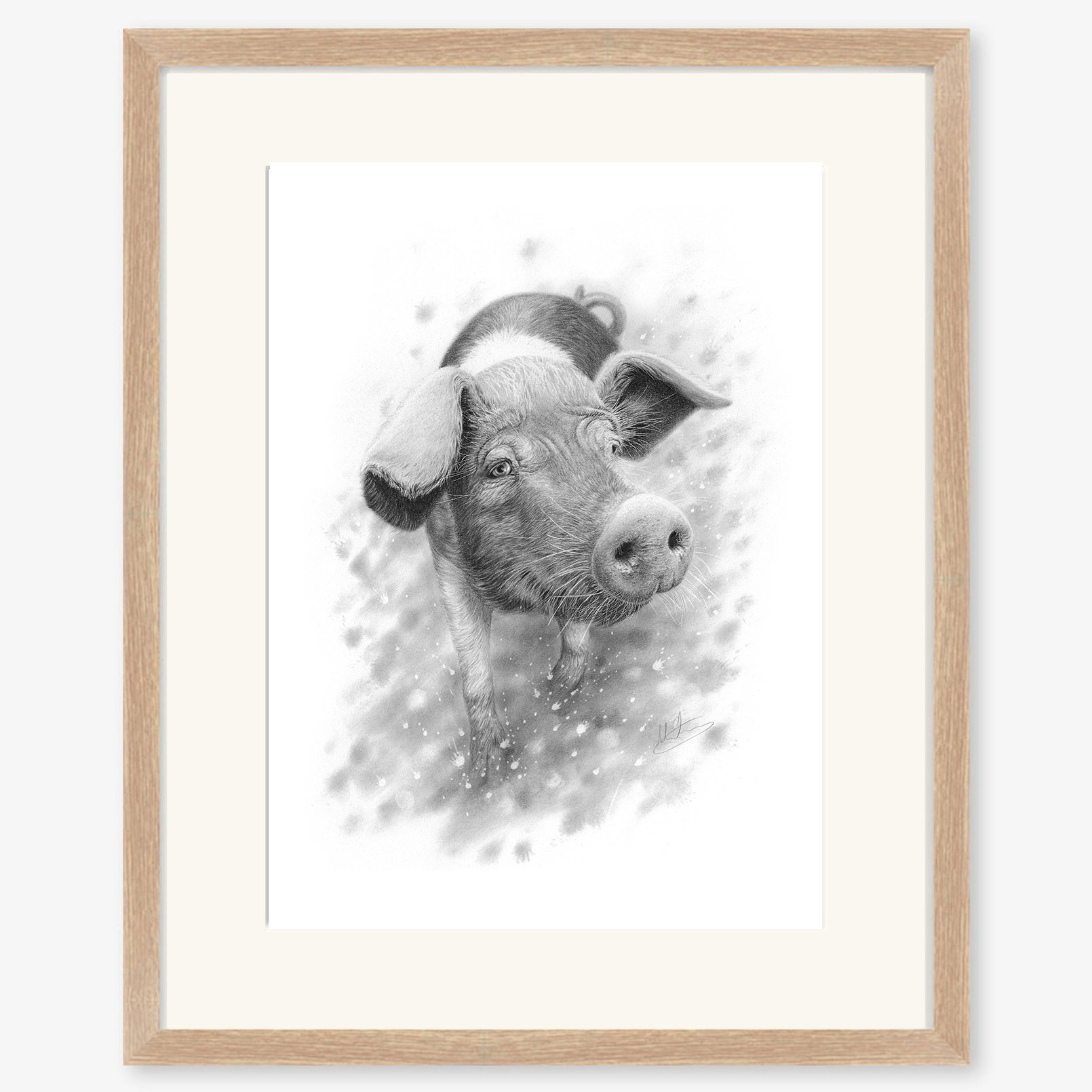saddleback_pig_oak.jpg
