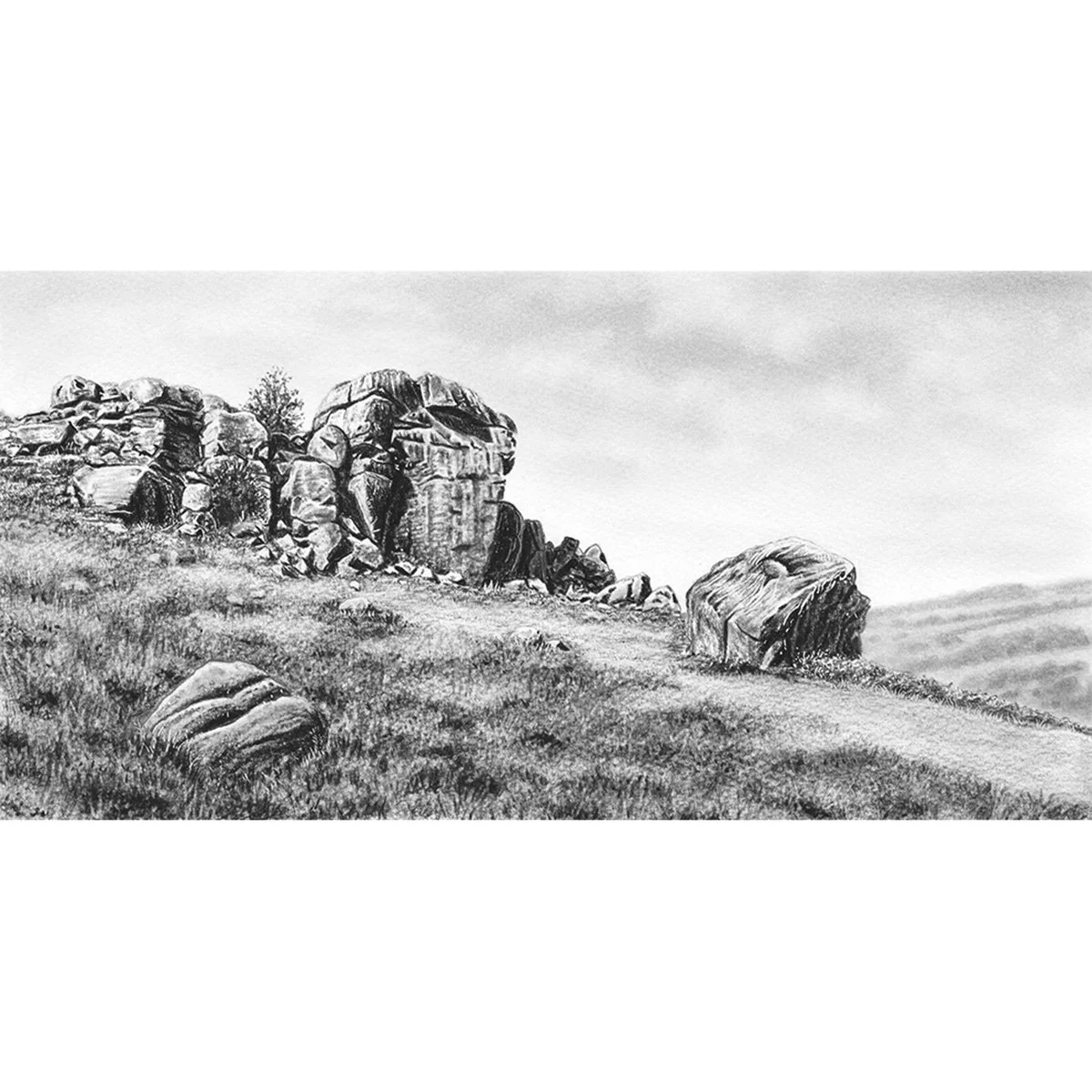 Cow and Calf, Ilkley - Original Charcoal Drawing