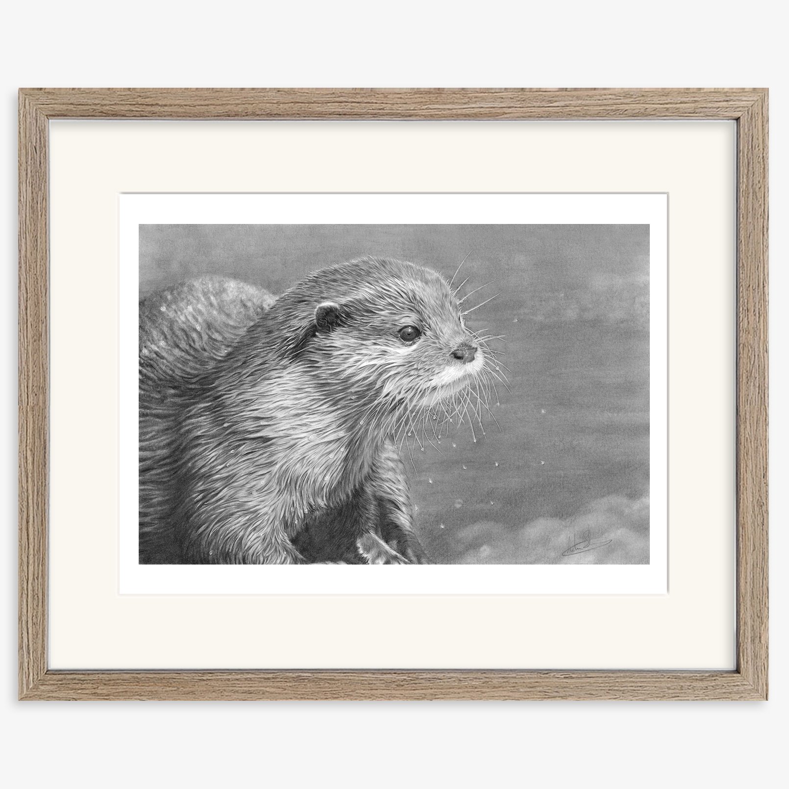 otter_study_walnut.jpg