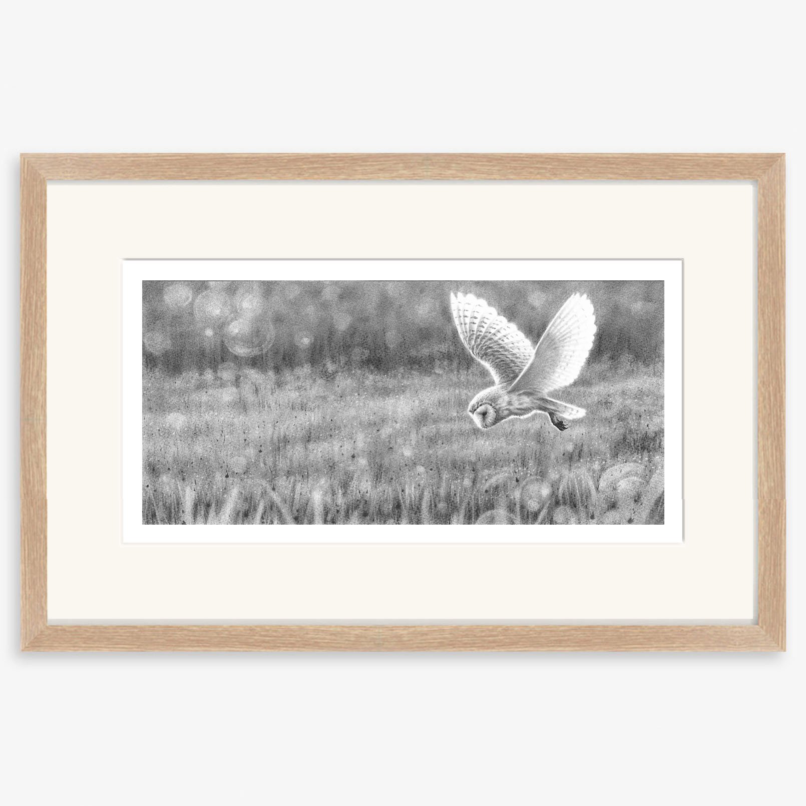 Barnowl_hunting_oak.jpg