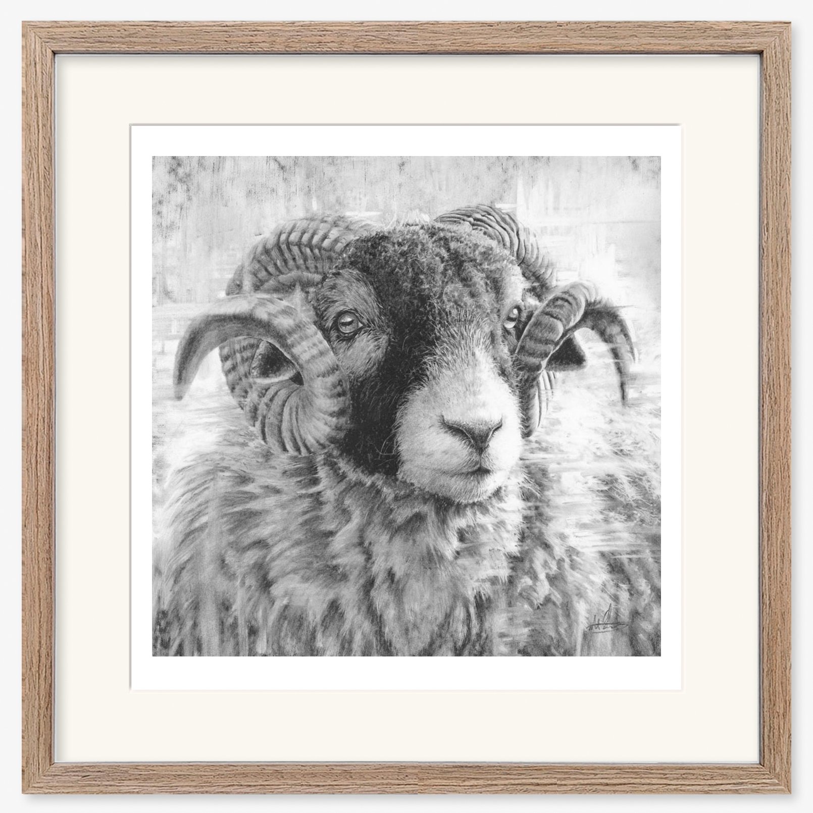 swaledale-tup-iii_walnut.jpg