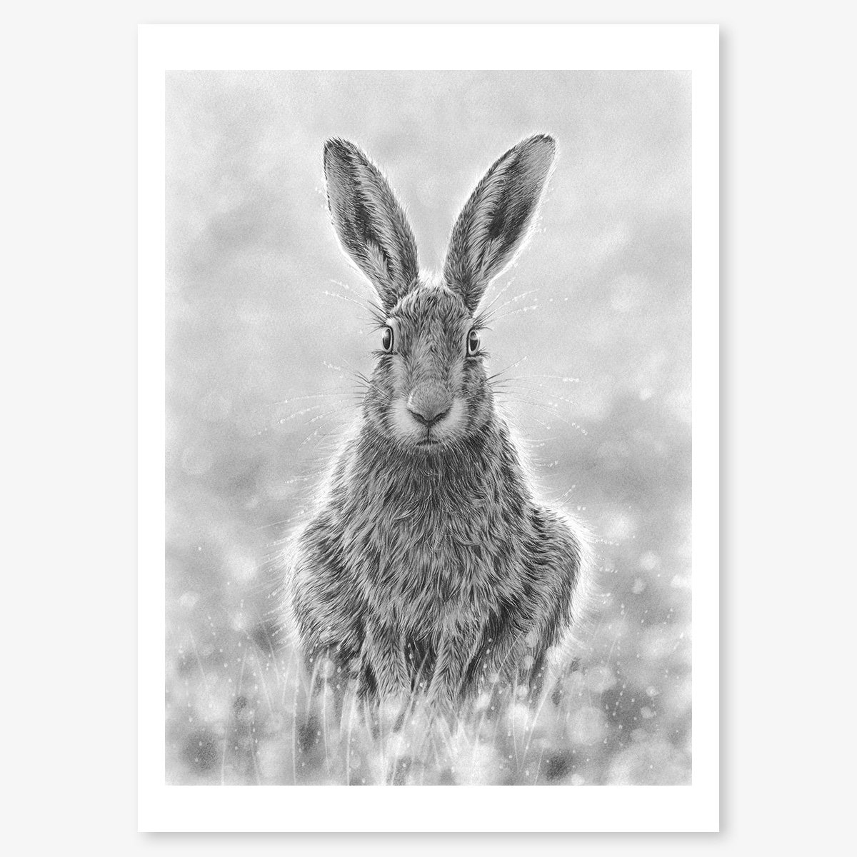 Hare_Evening_floating.jpg